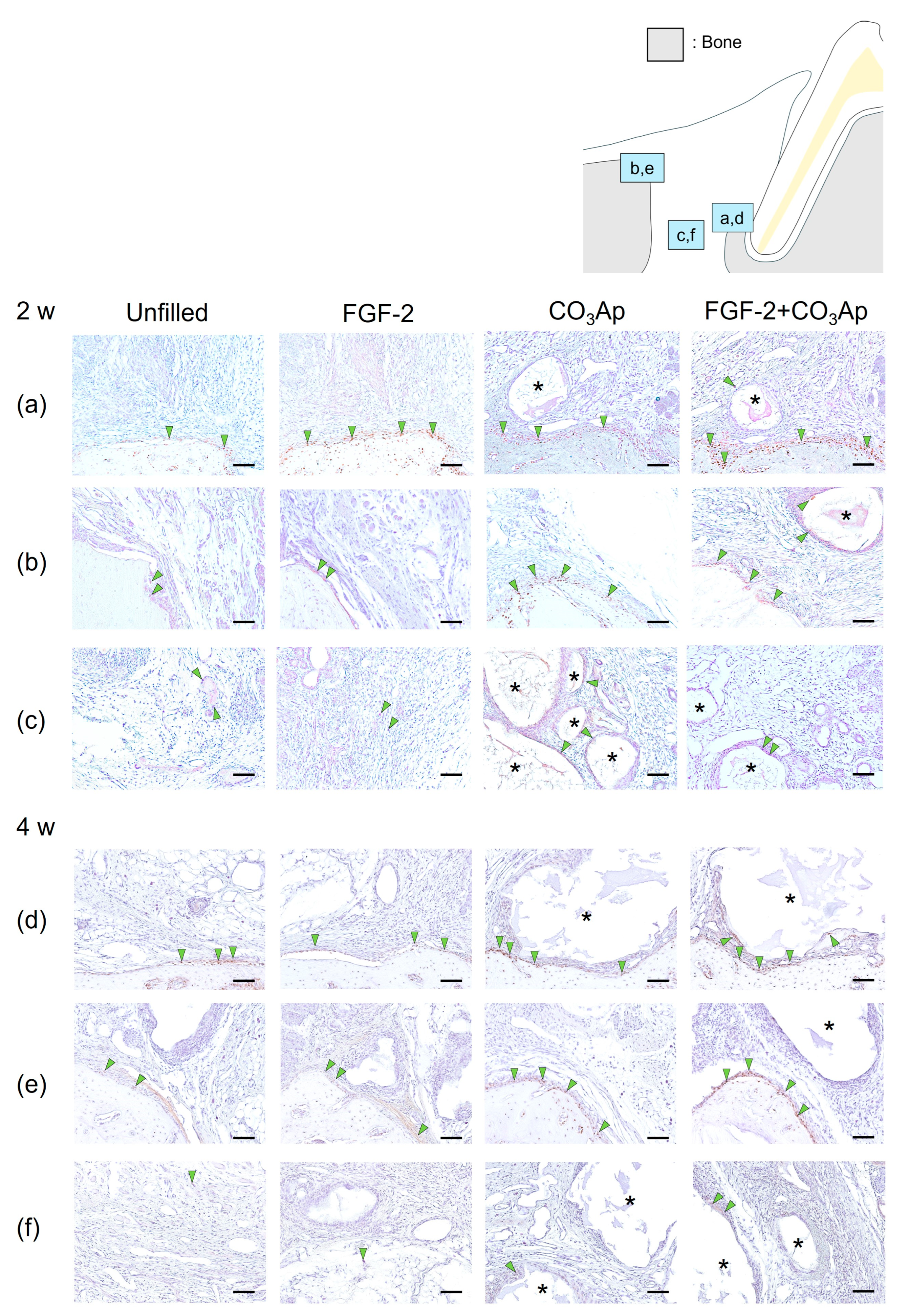 Biomedicines 12 01664 g003