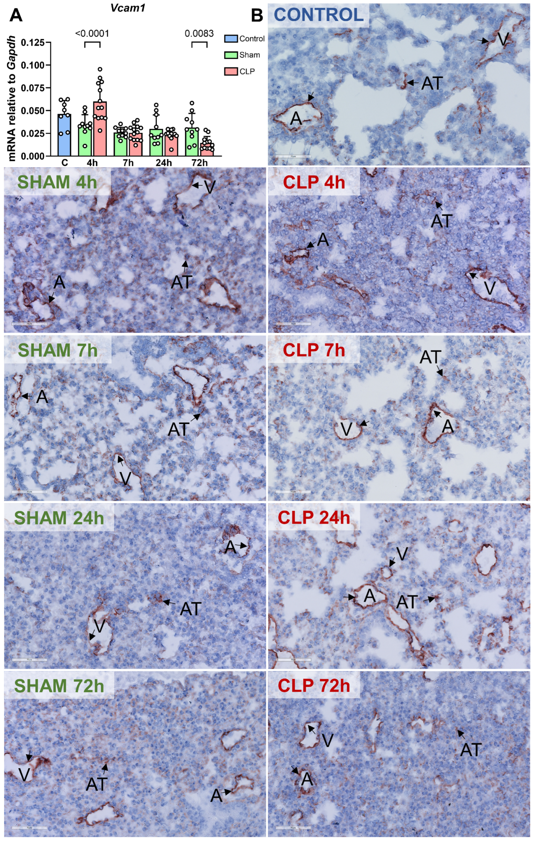 Biomedicines 12 01672 g005