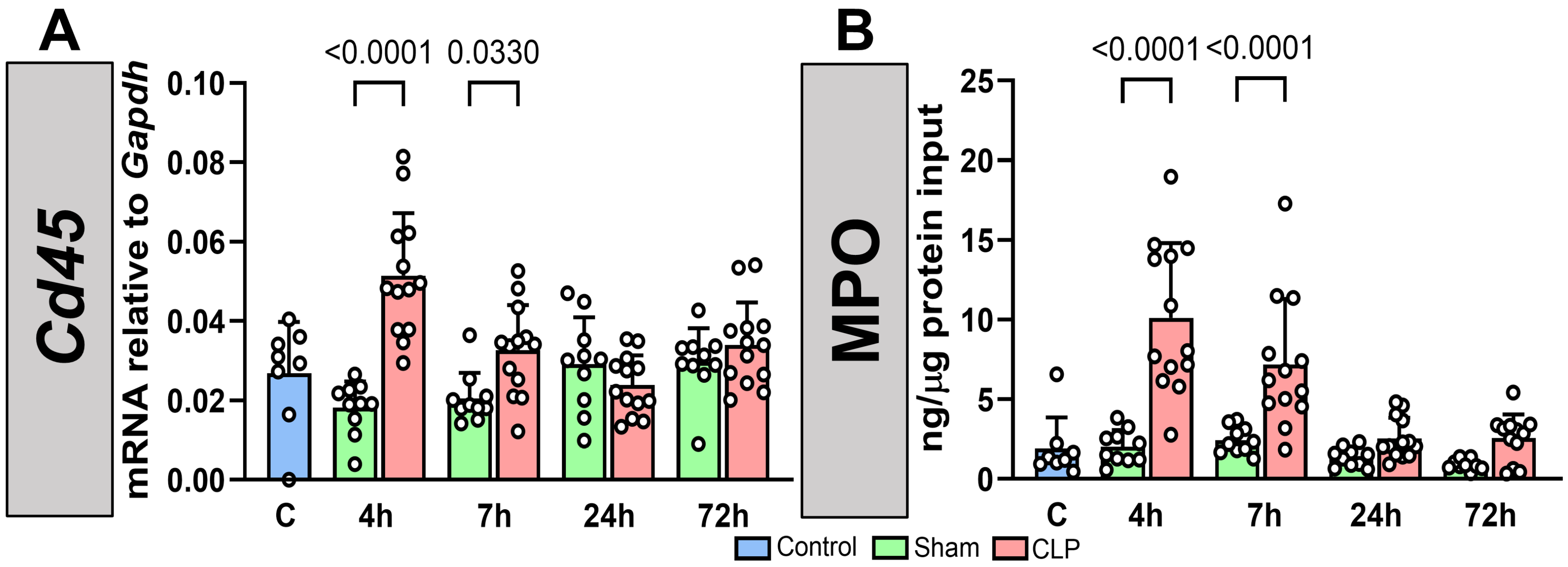 Biomedicines 12 01672 g006