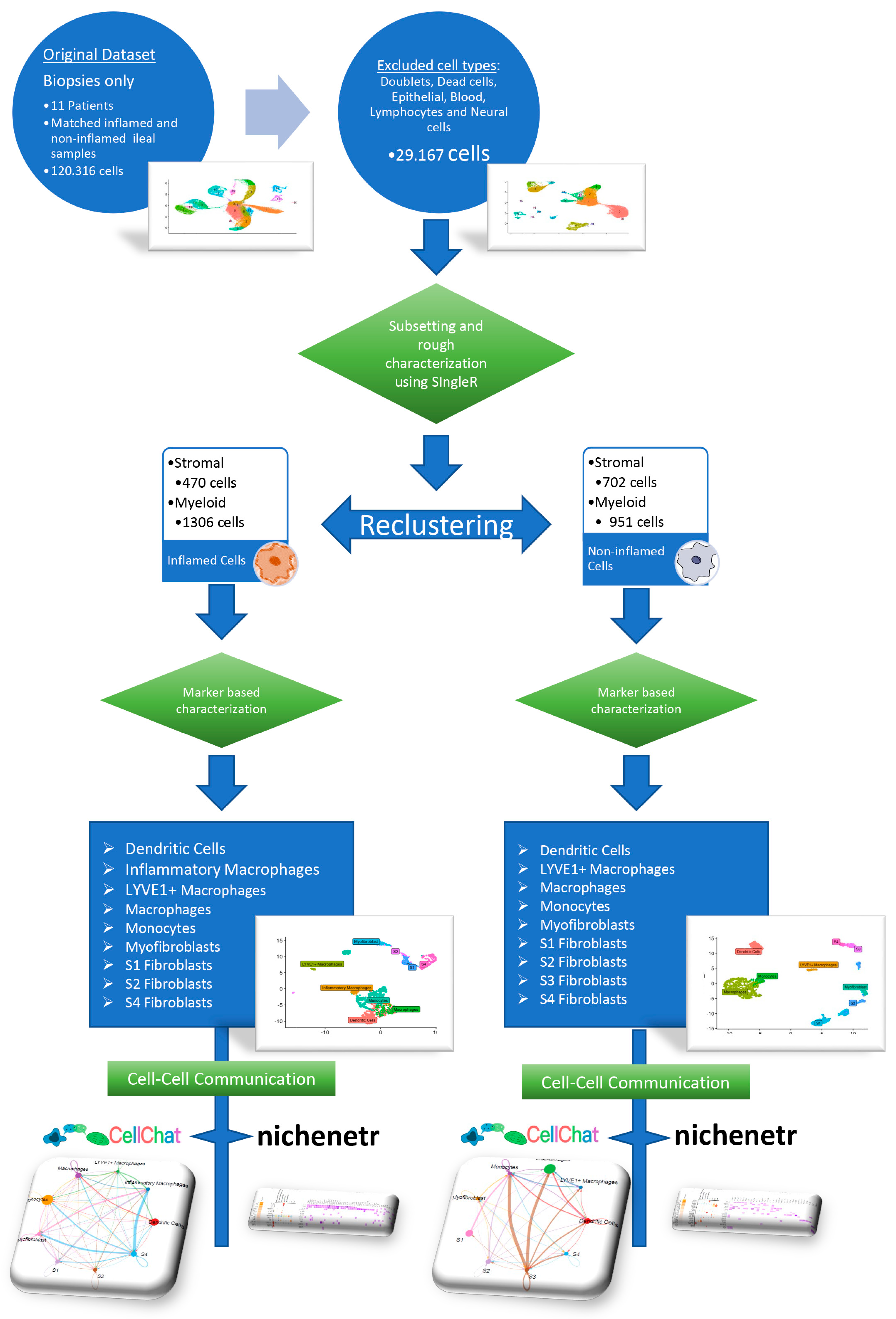 Biomedicines 12 01674 g001