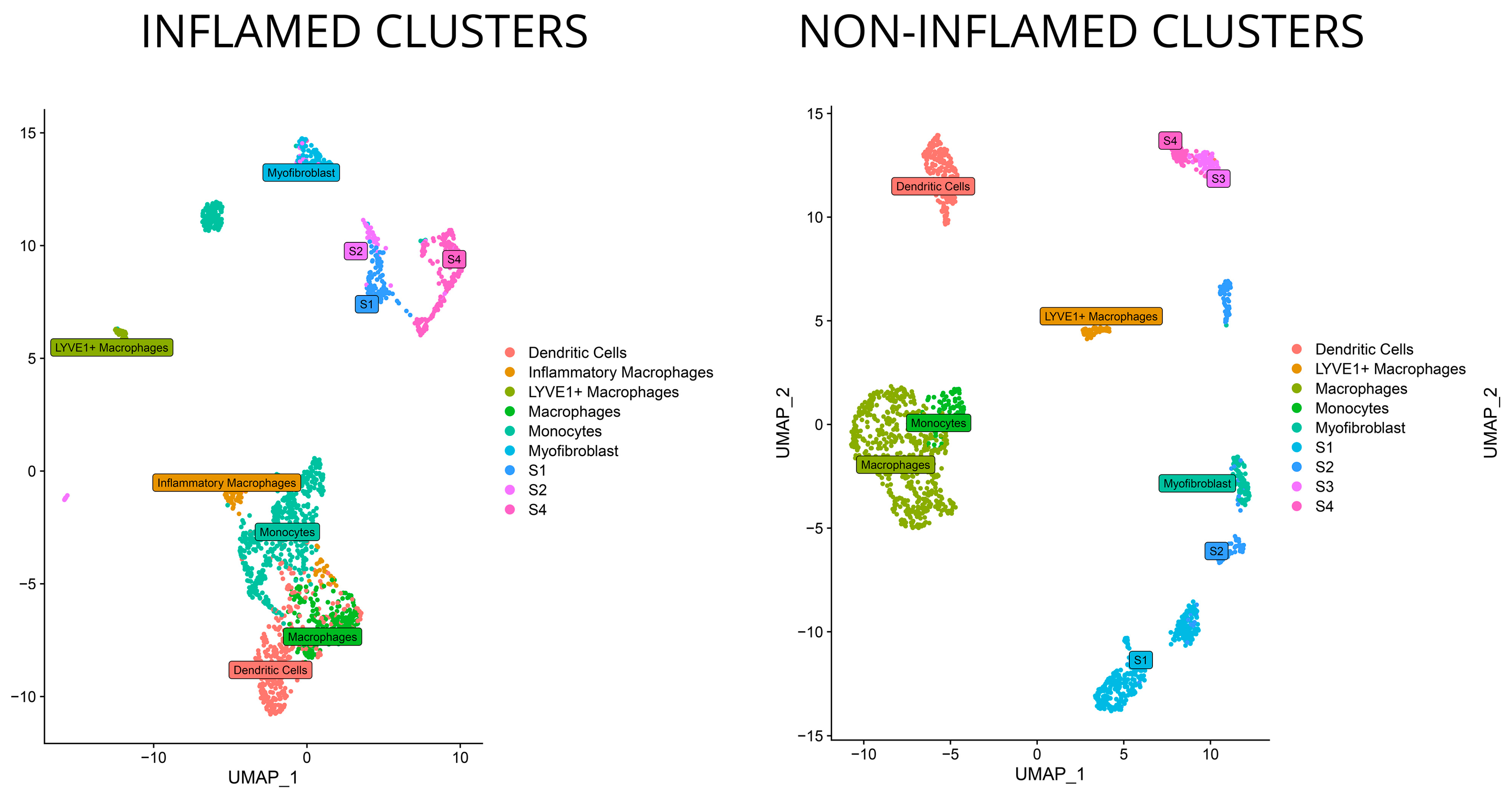 Biomedicines 12 01674 g002