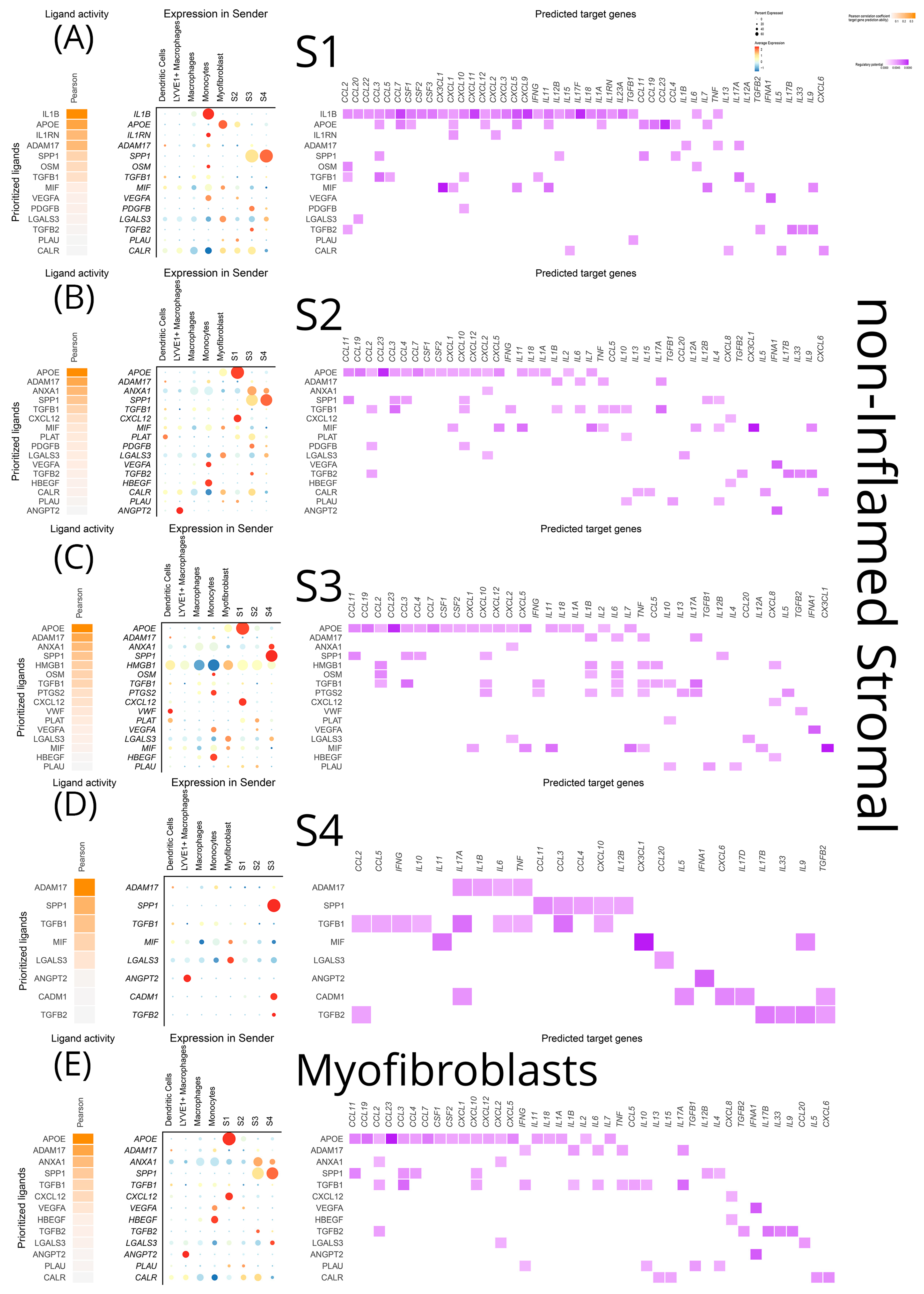 Biomedicines 12 01674 g010