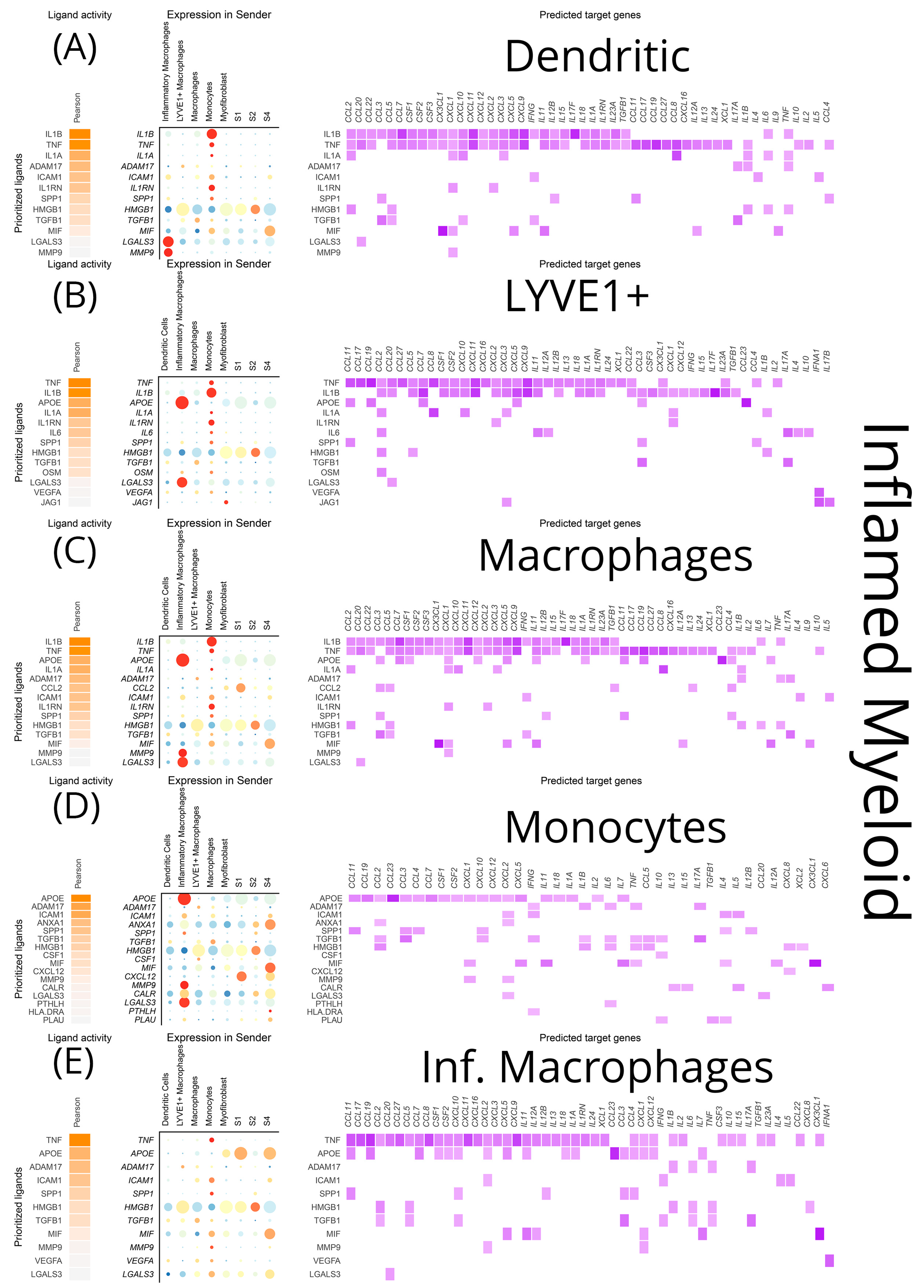 Biomedicines 12 01674 g011