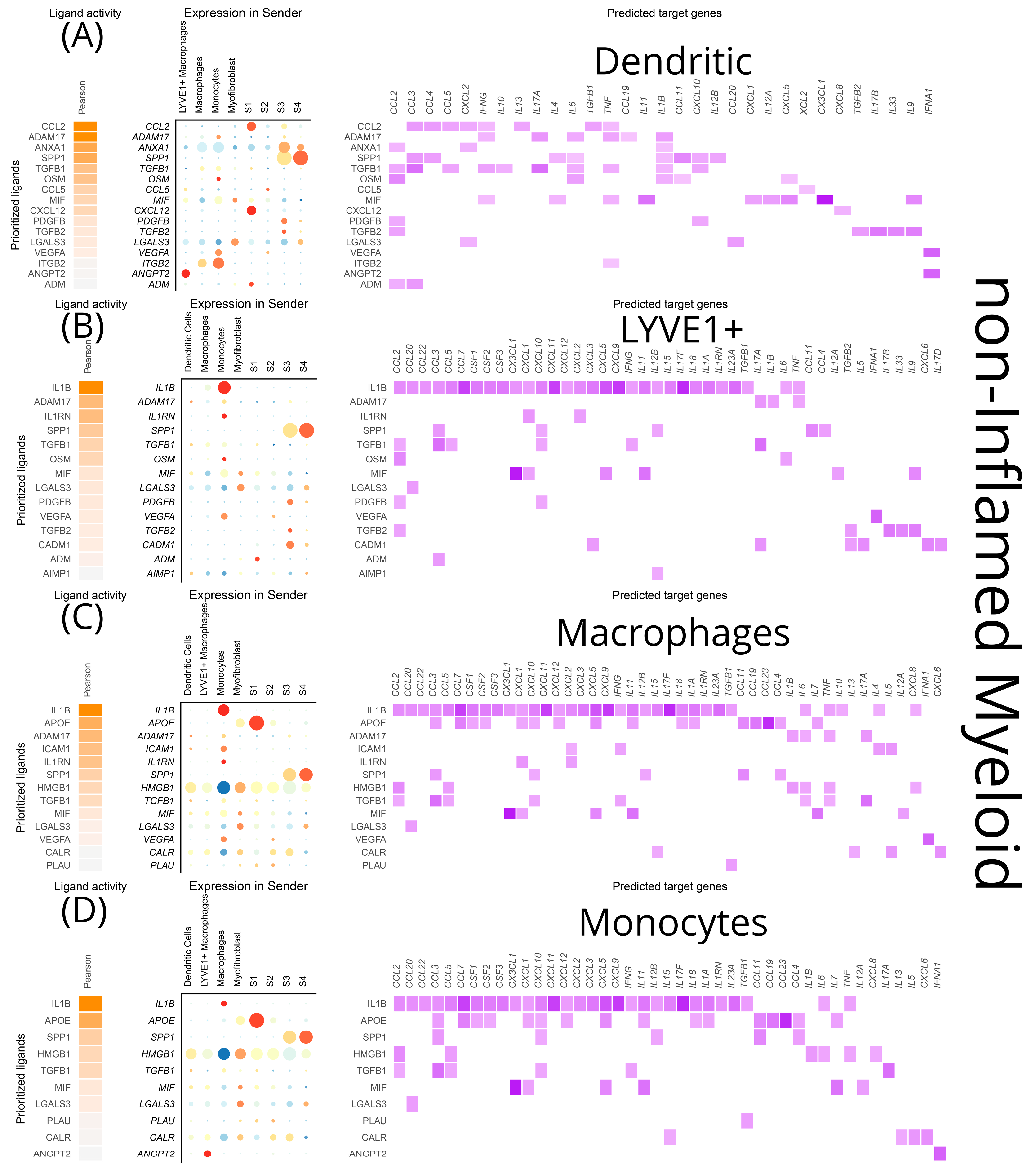 Biomedicines 12 01674 g012