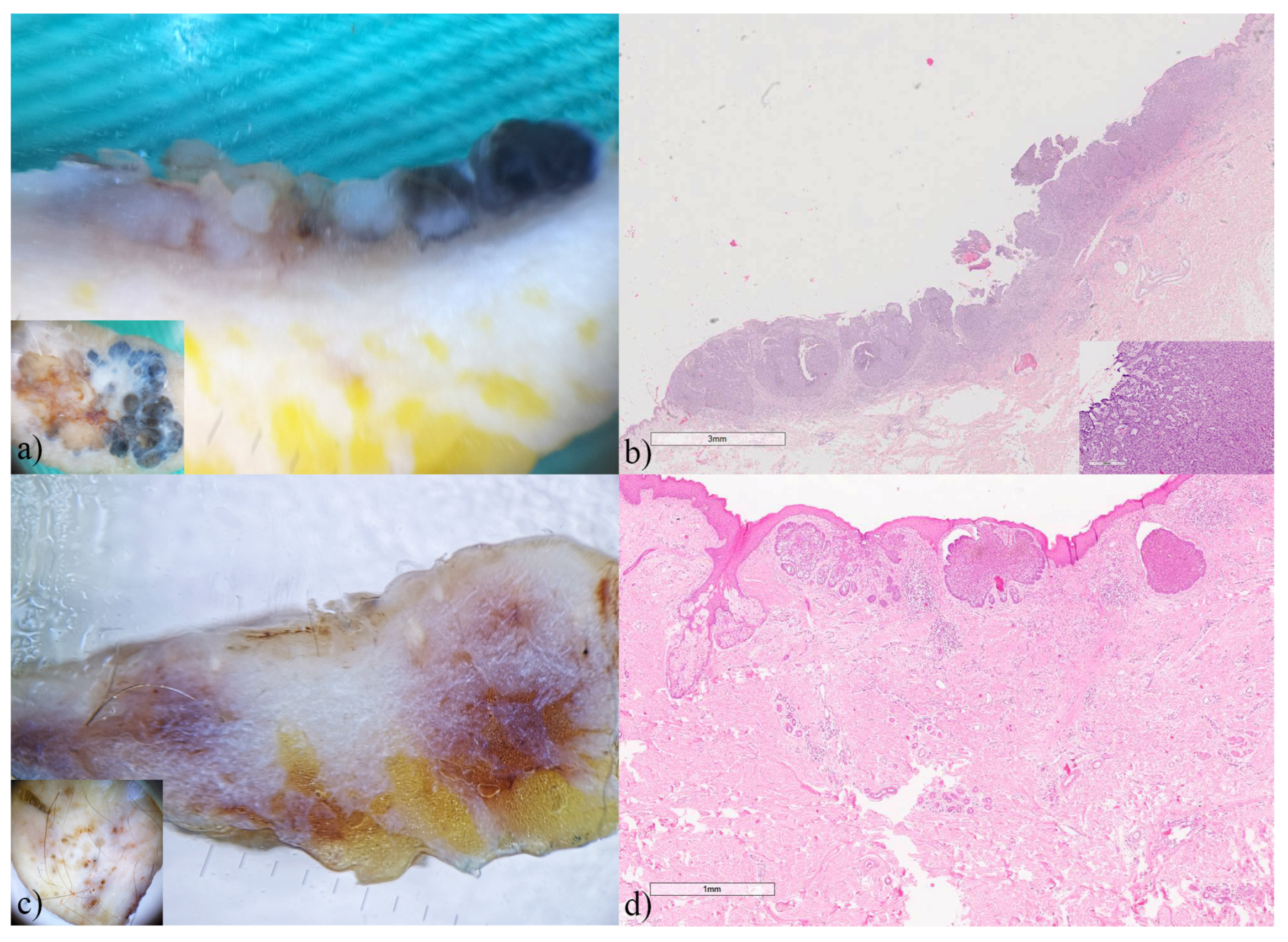Biomedicines 12 01683 g002
