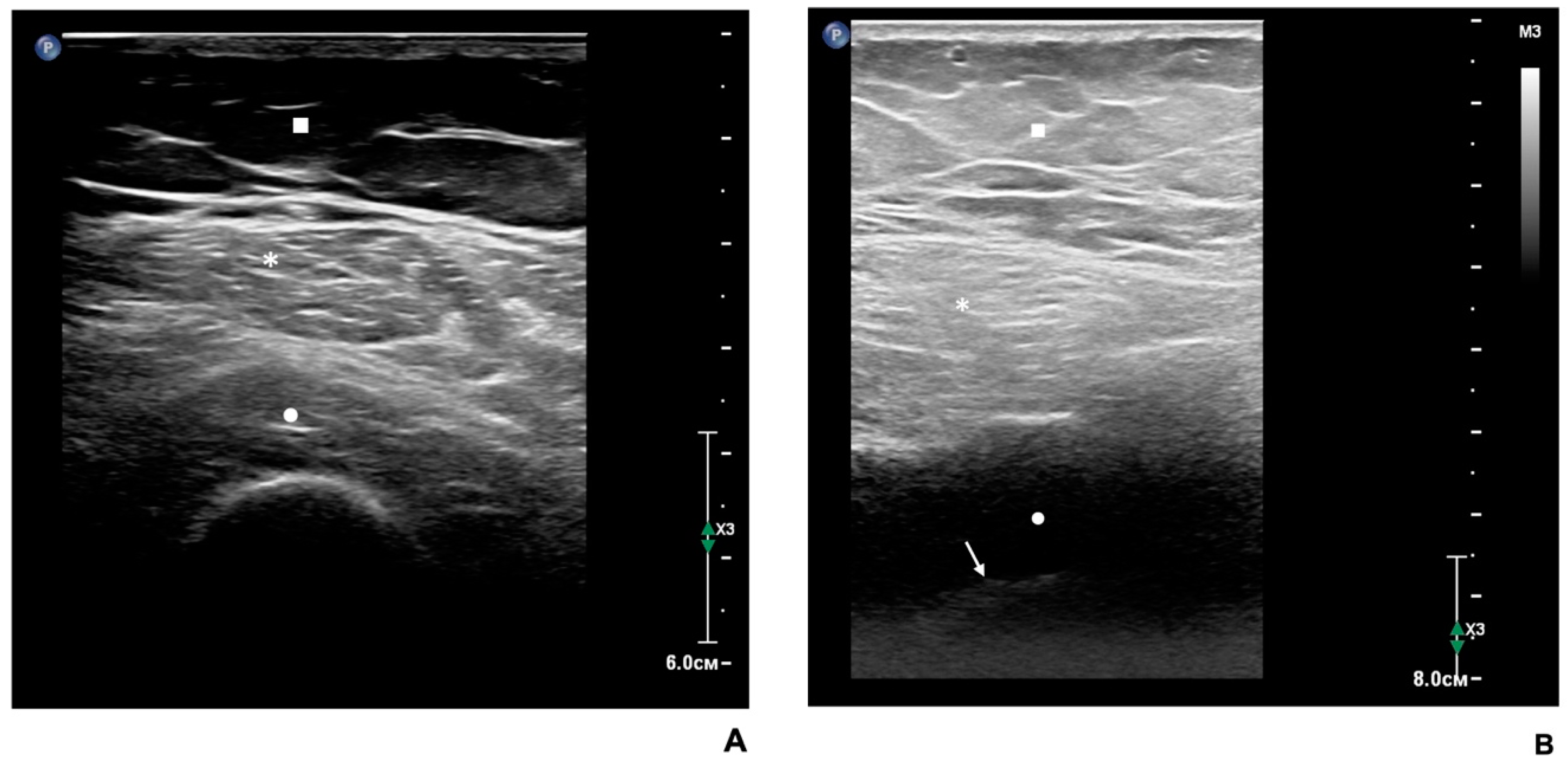 Biomedicines 12 01684 g002