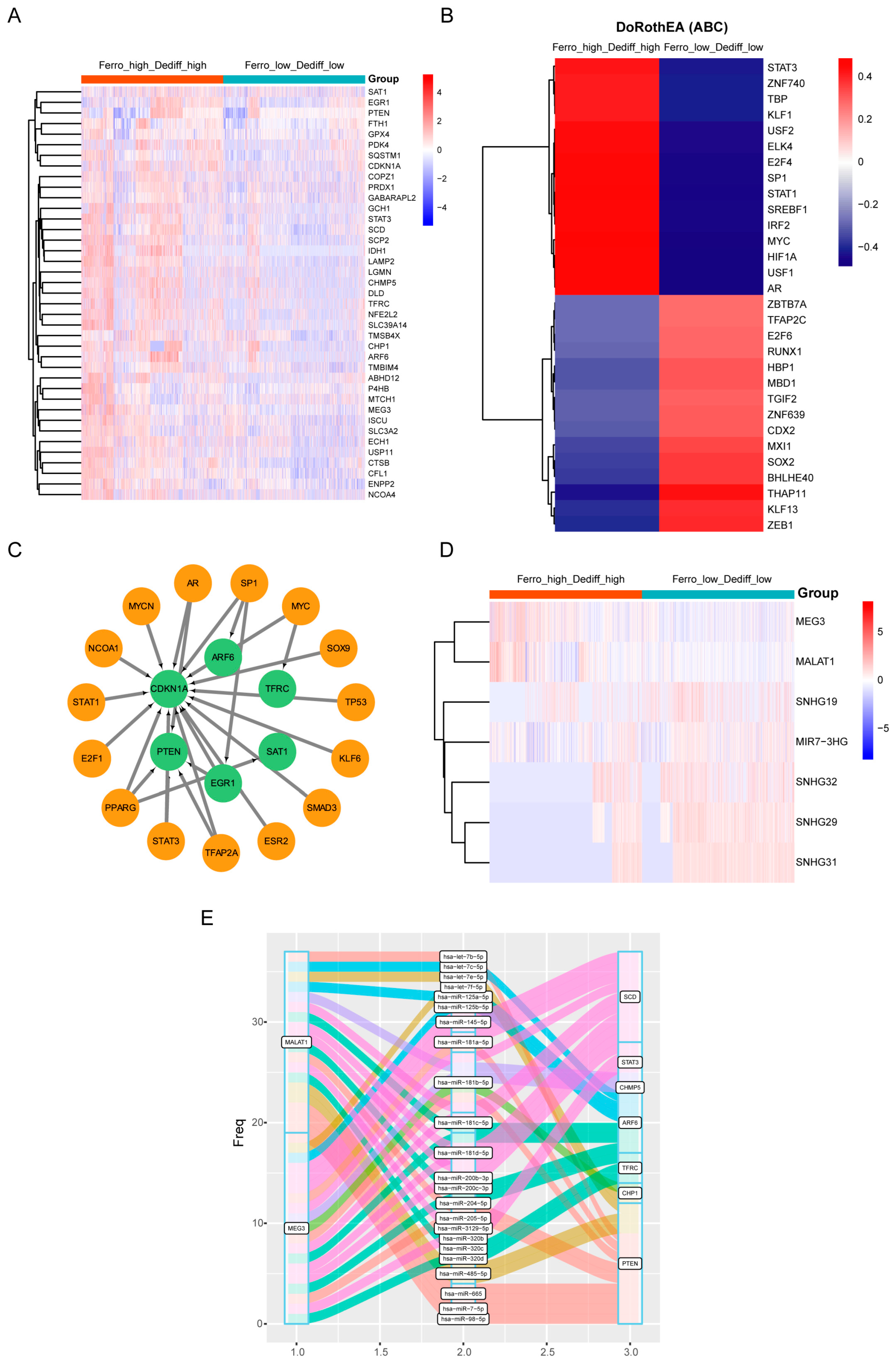 Biomedicines 12 01687 g007 Biomedicines 12 01687 g007