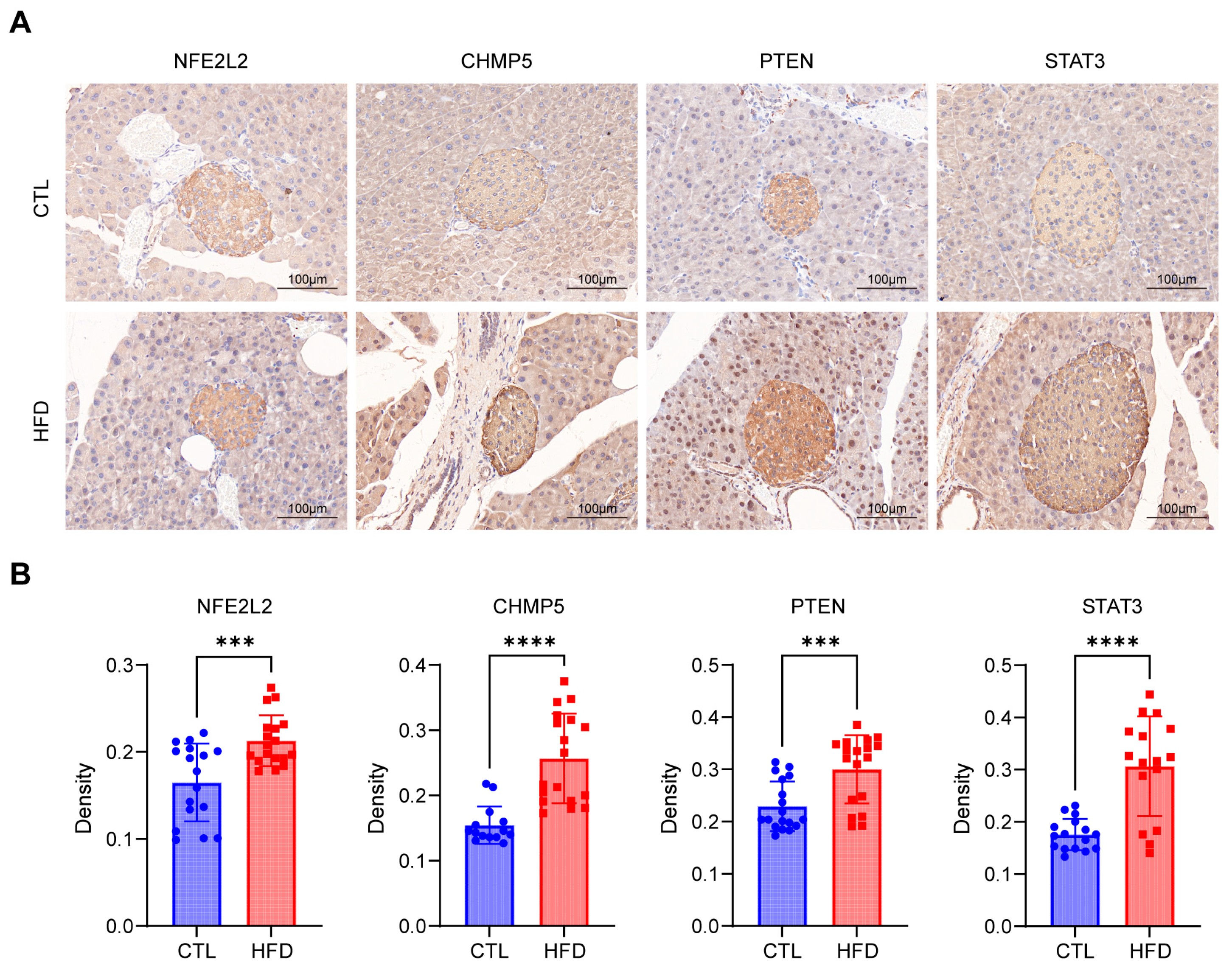 Biomedicines 12 01687 g011 Biomedicines 12 01687 g011