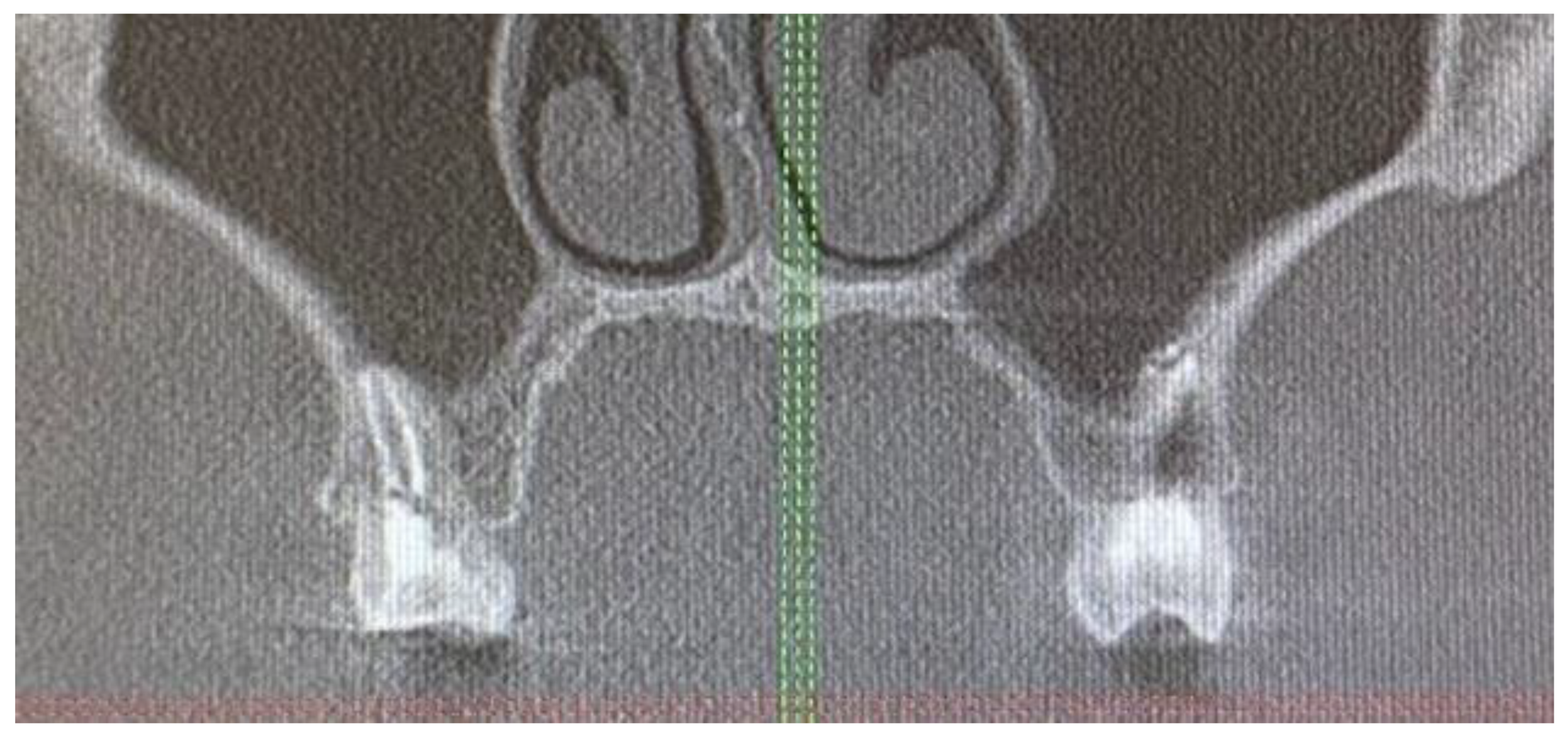 Biomedicines 12 01688 g002