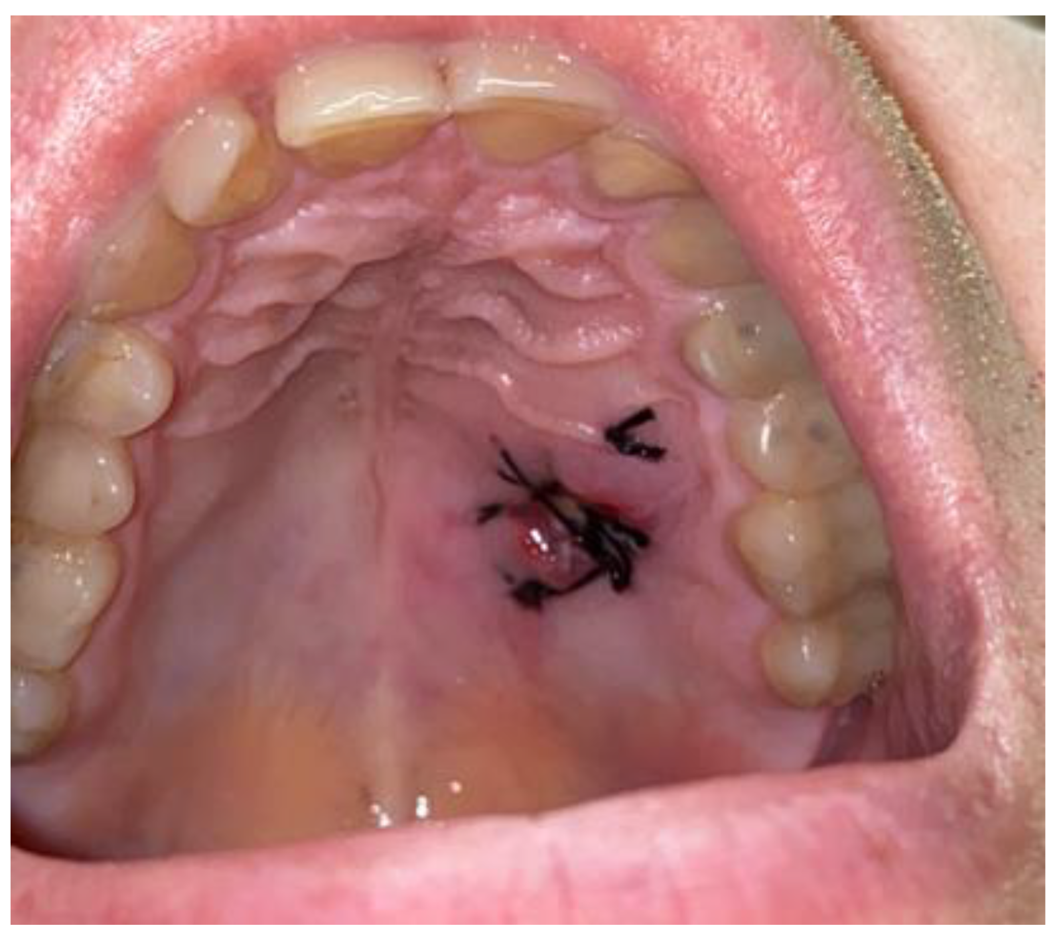 Biomedicines 12 01688 g004