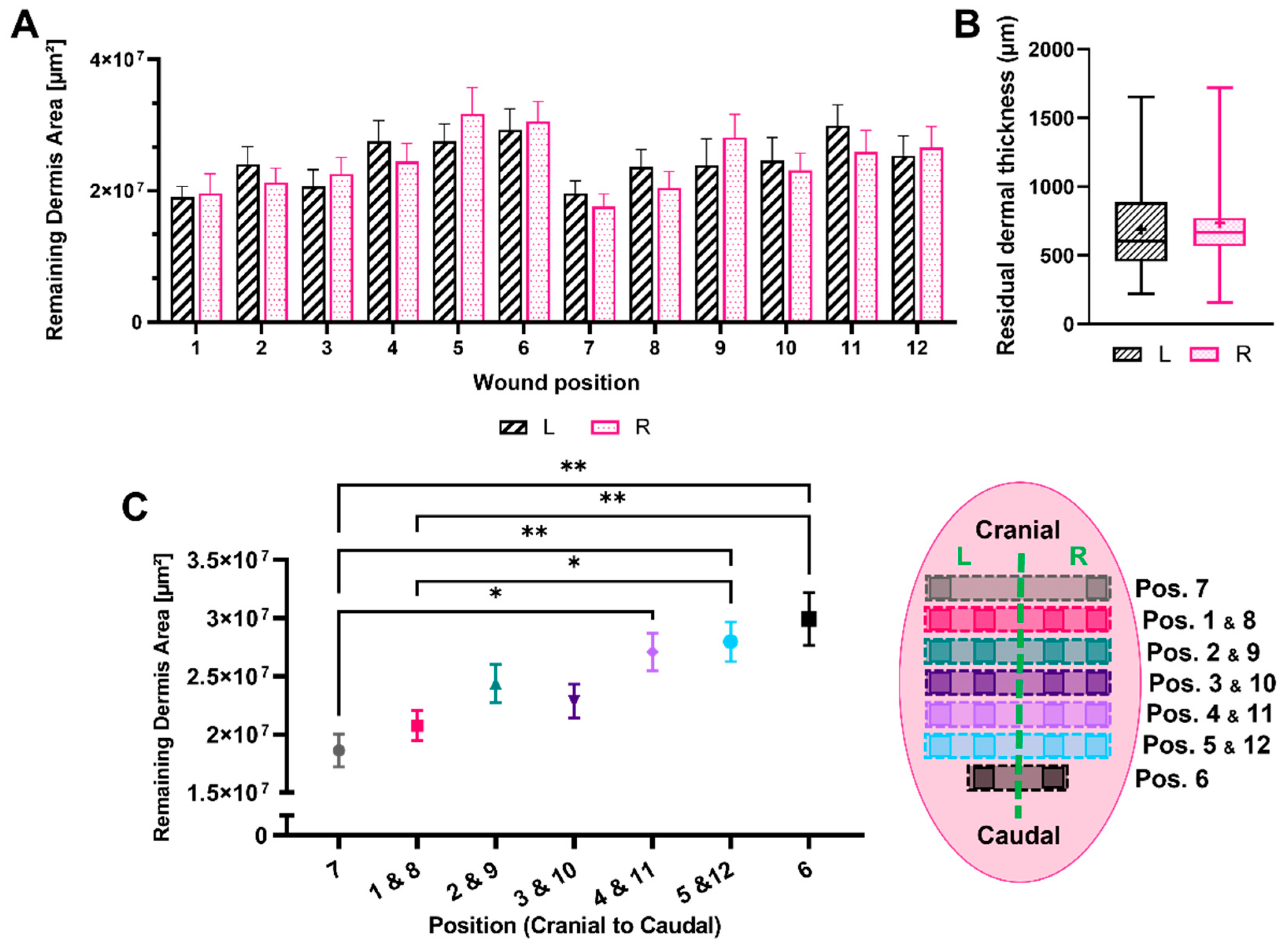 Biomedicines 12 01697 g003 Biomedicines 12 01697 g003