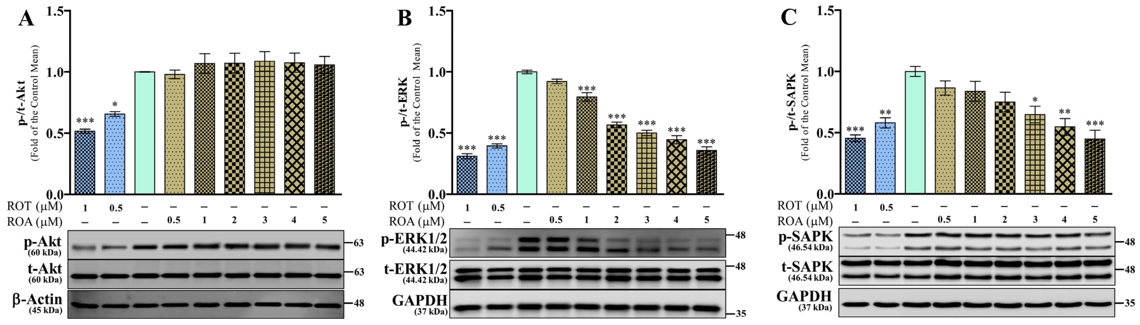 Biomedicines 12 01703 g006