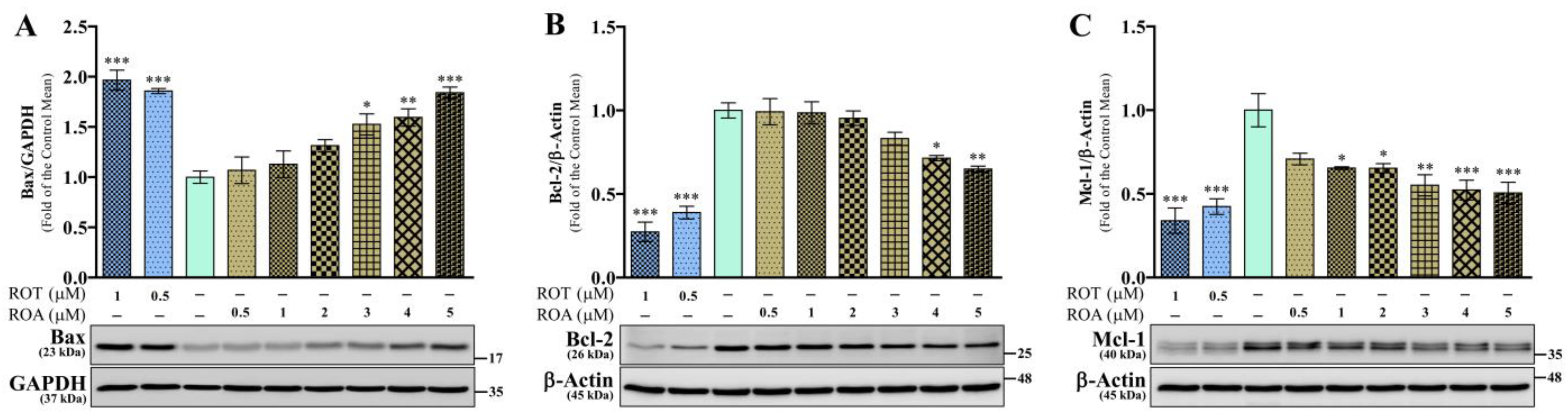 Biomedicines 12 01703 g007