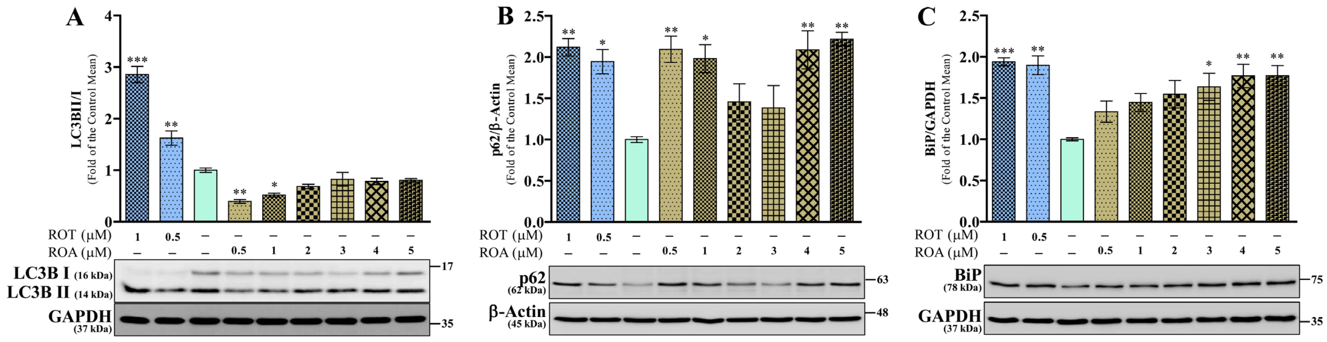 Biomedicines 12 01703 g009