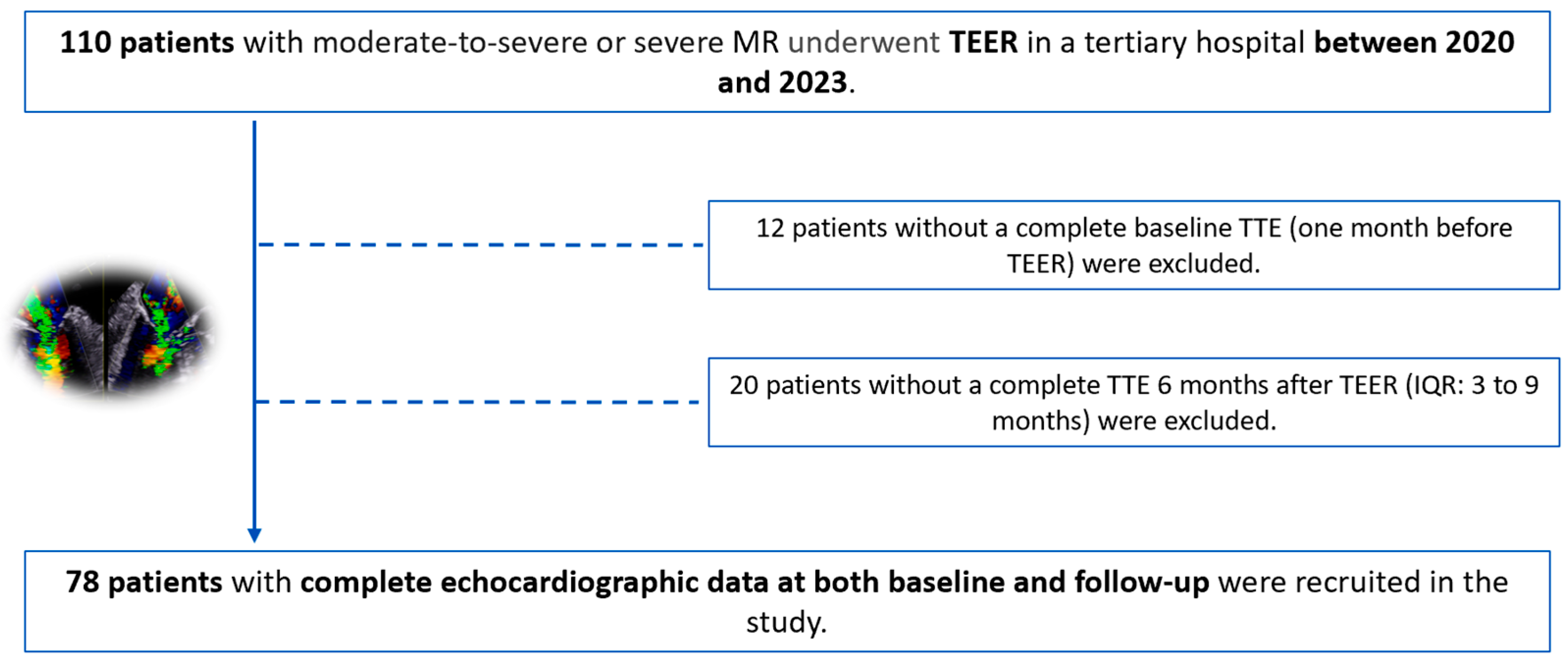 Biomedicines 12 01710 g001