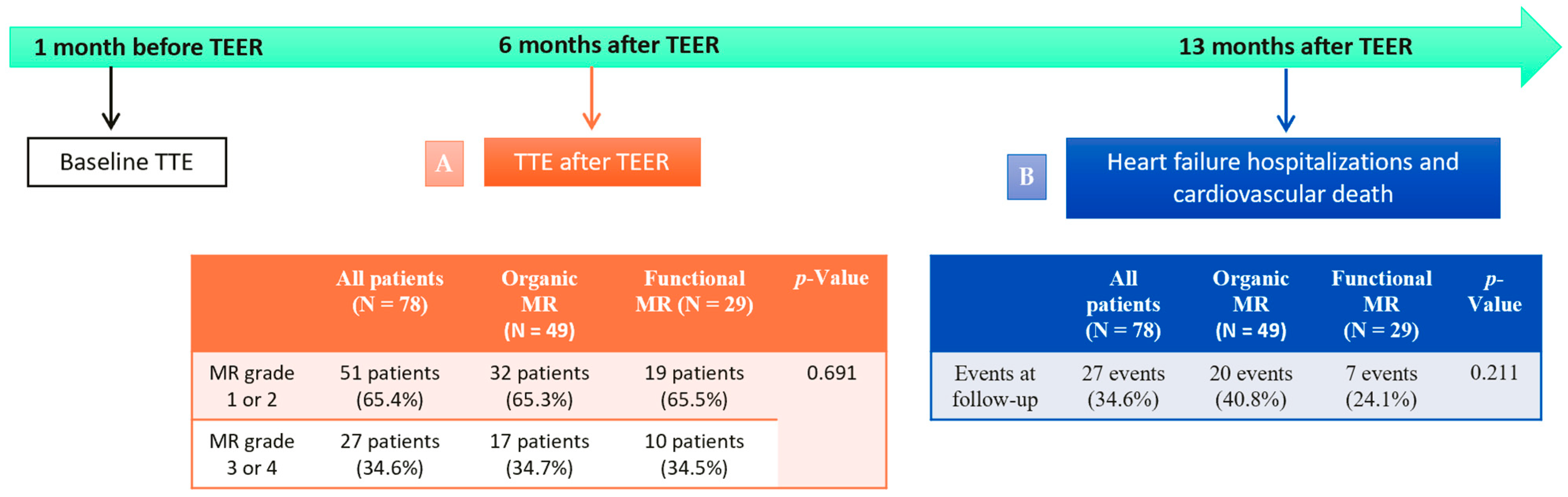 Biomedicines 12 01710 g005