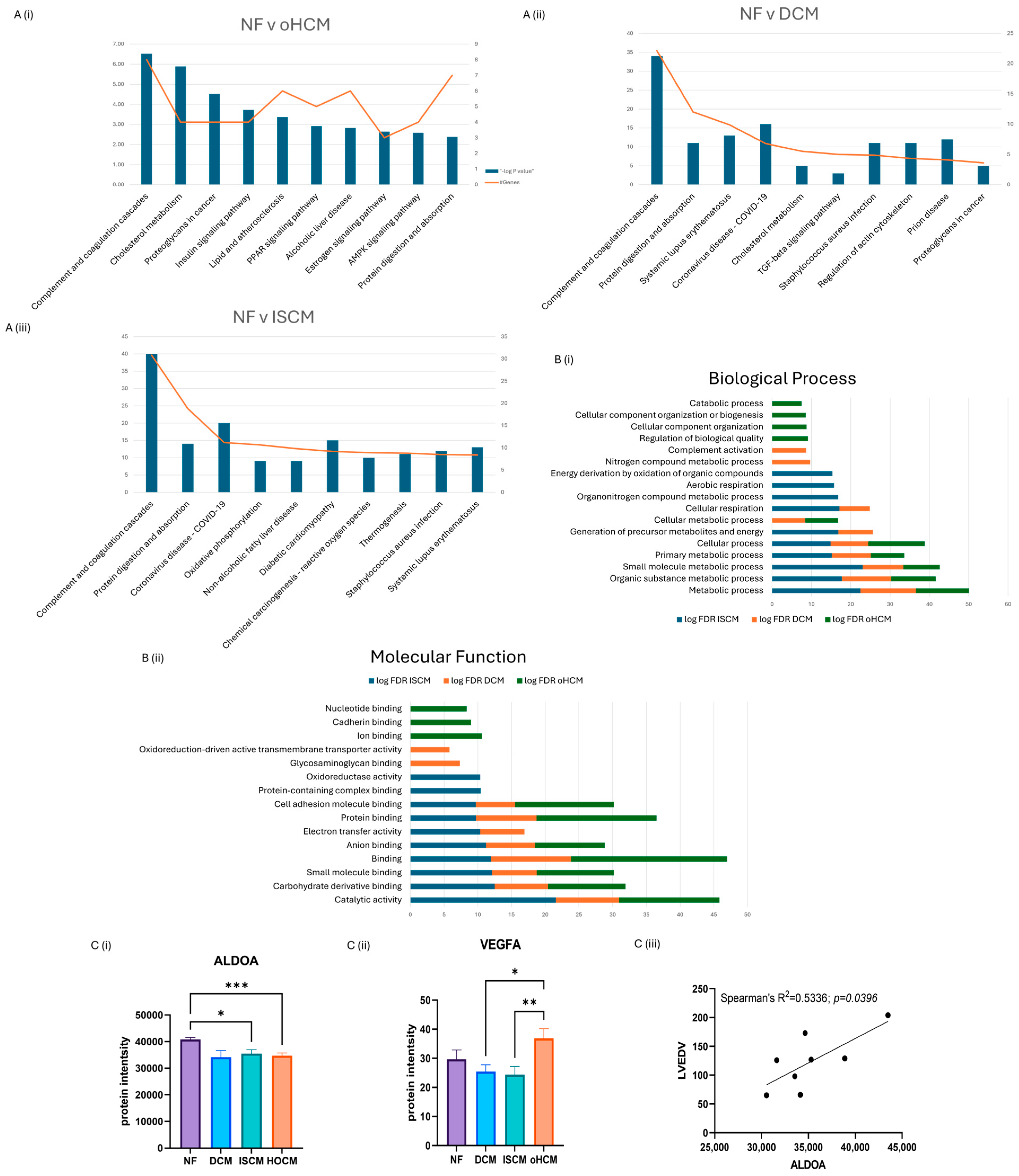 Biomedicines 12 01712 g002
