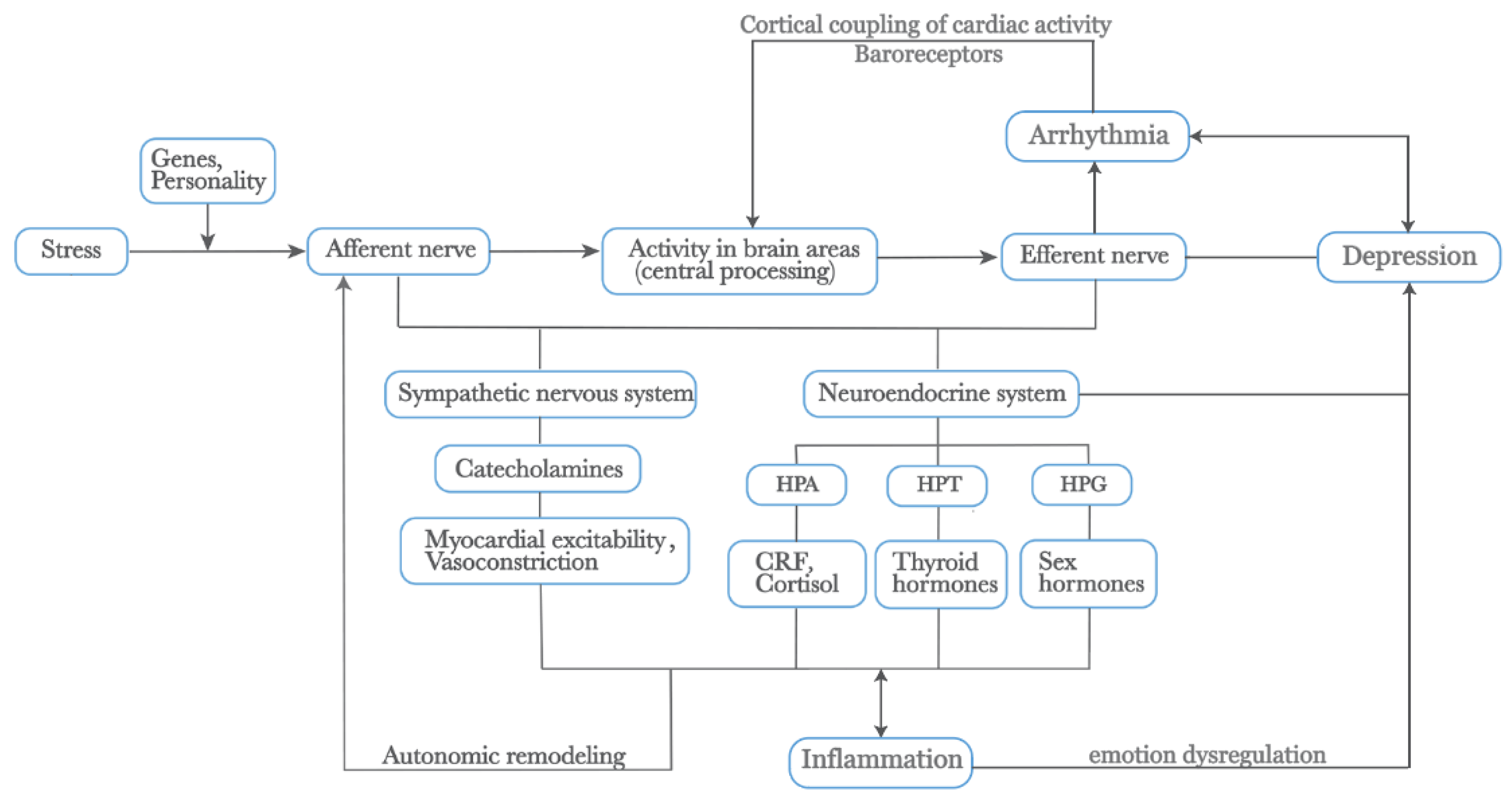 Biomedicines 12 01719 g002
