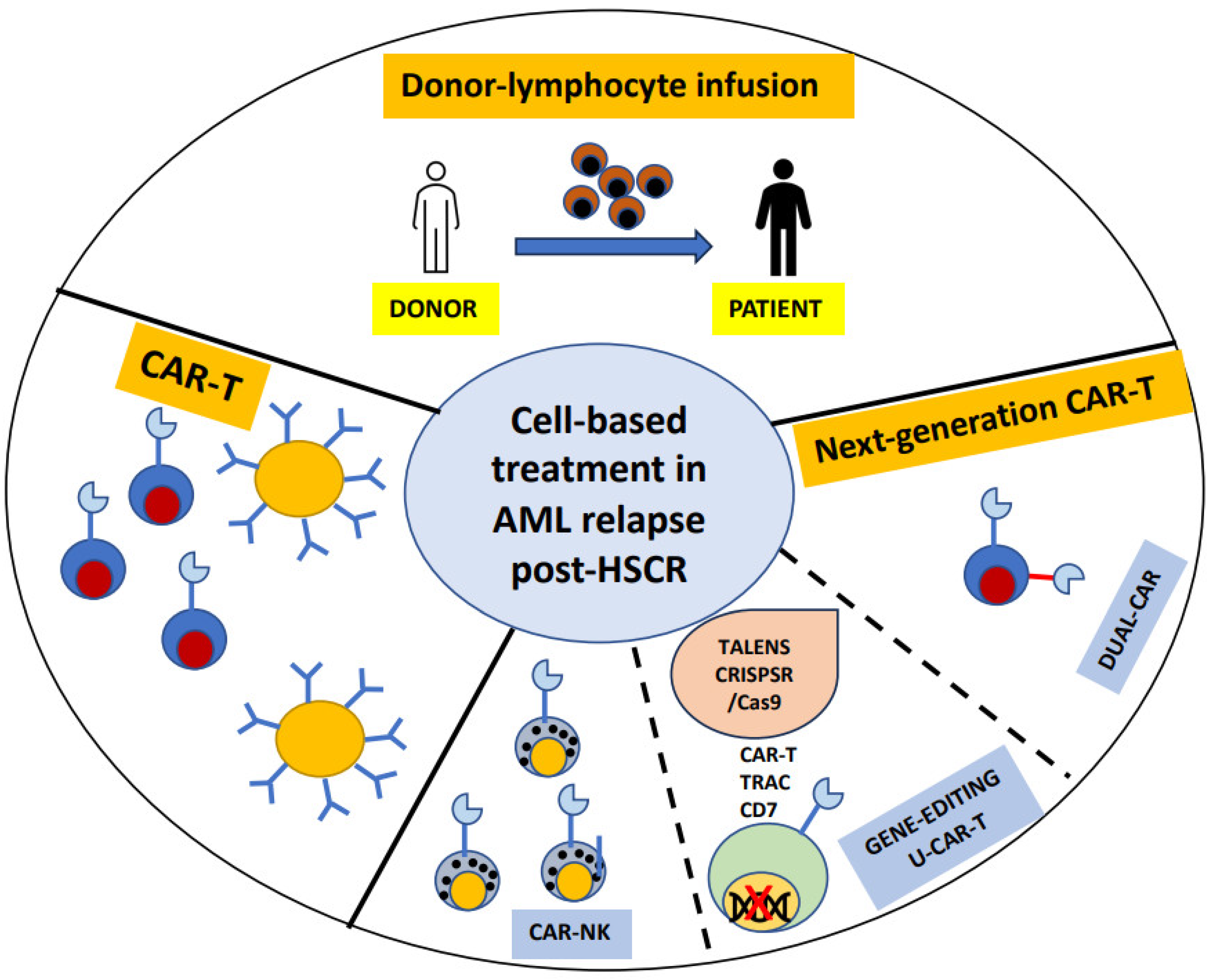 Biomedicines 12 01721 g001 Biomedicines 12 01721 g001