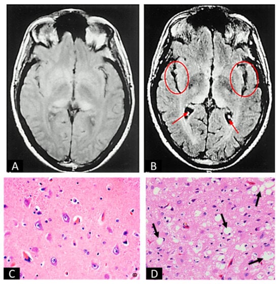 Biomedicines 12 01725 g002