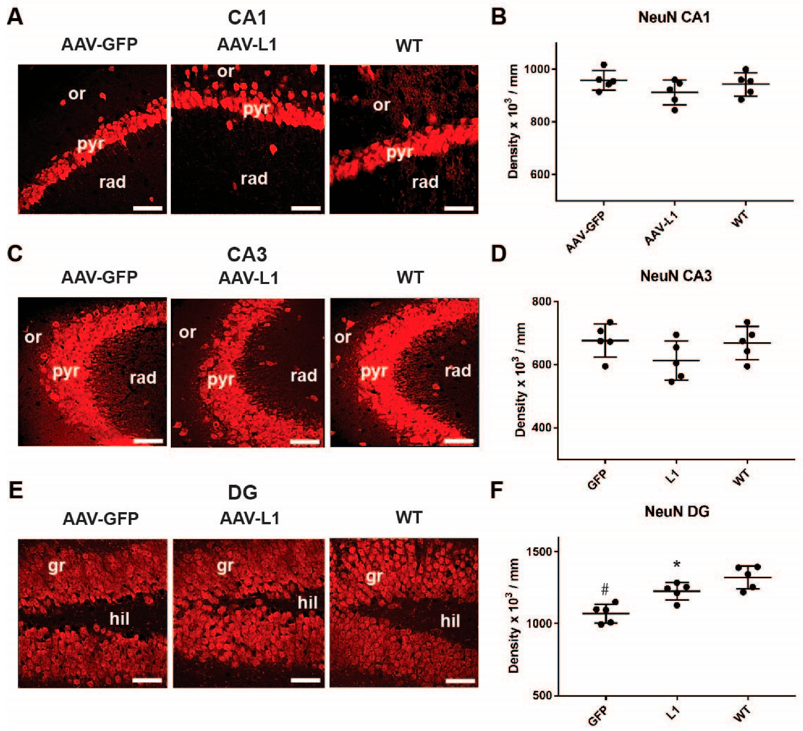 Biomedicines 12 01726 g002