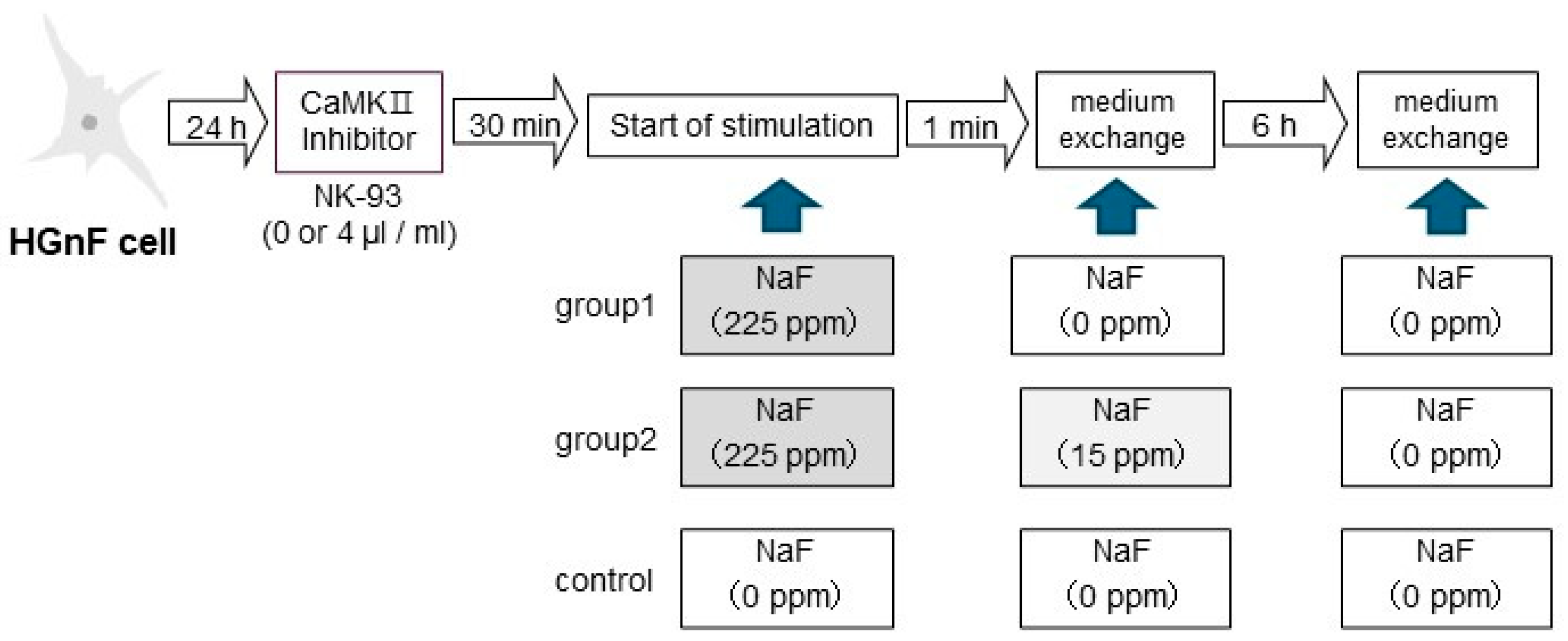 Biomedicines 12 01727 g001