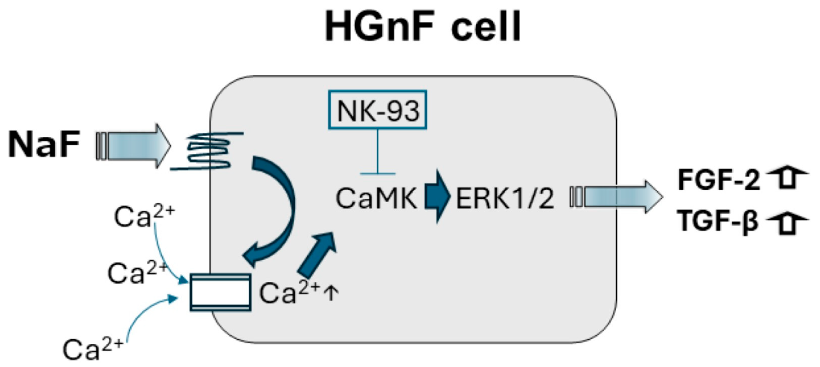 Biomedicines 12 01727 g007