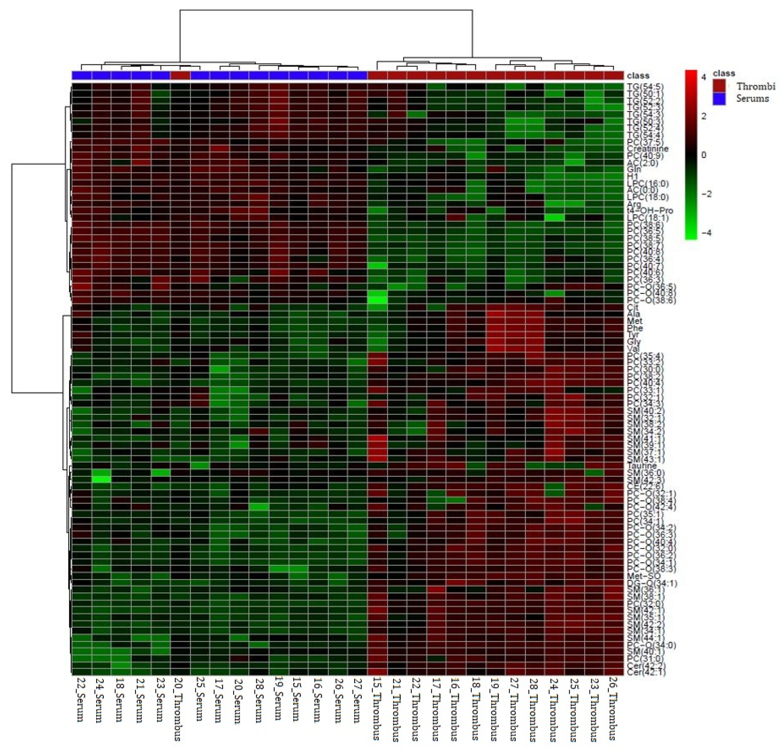Biomedicines 12 01731 g005 Biomedicines 12 01731 g005