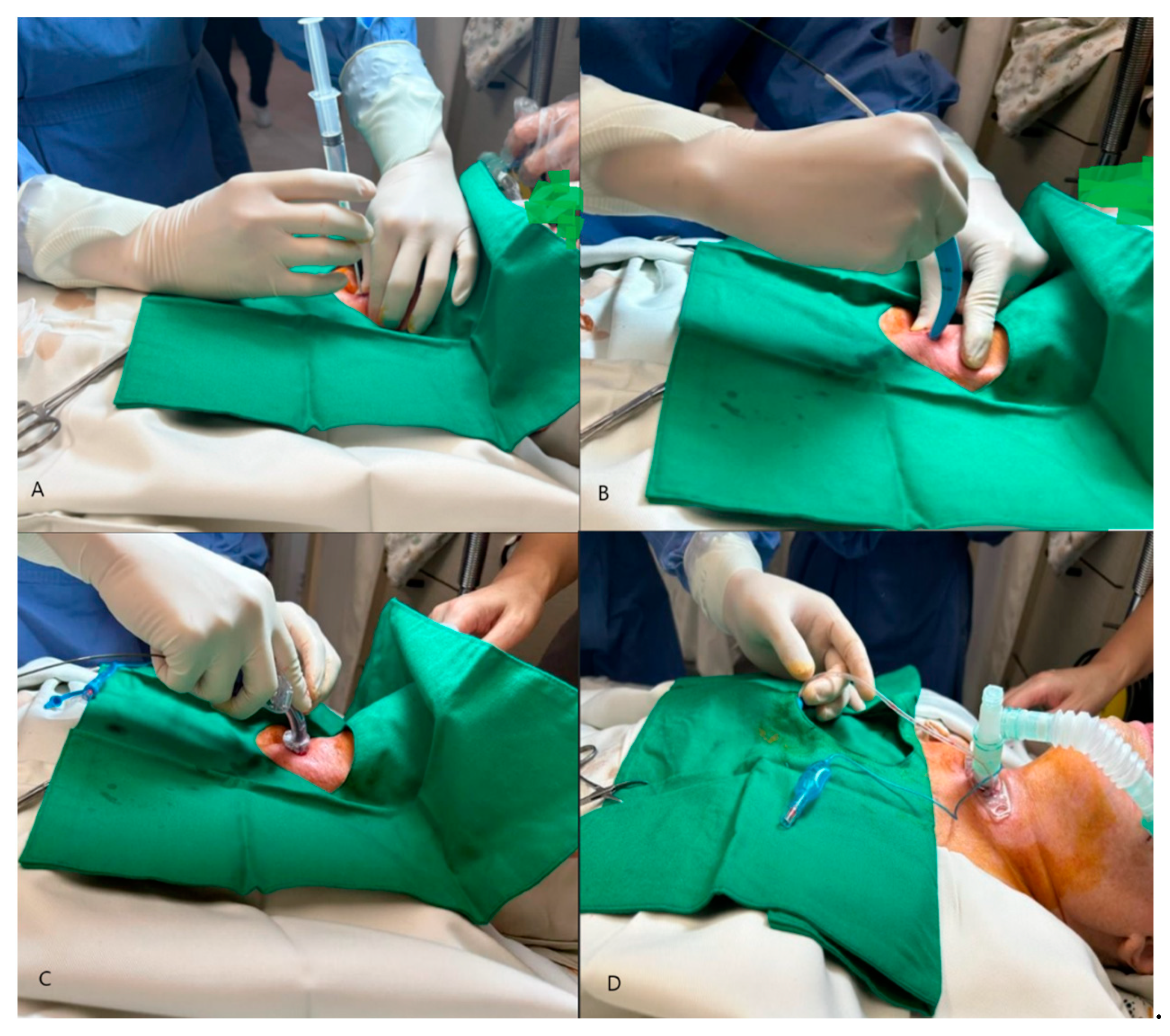 Biomedicines 12 01734 g001 Biomedicines 12 01734 g001