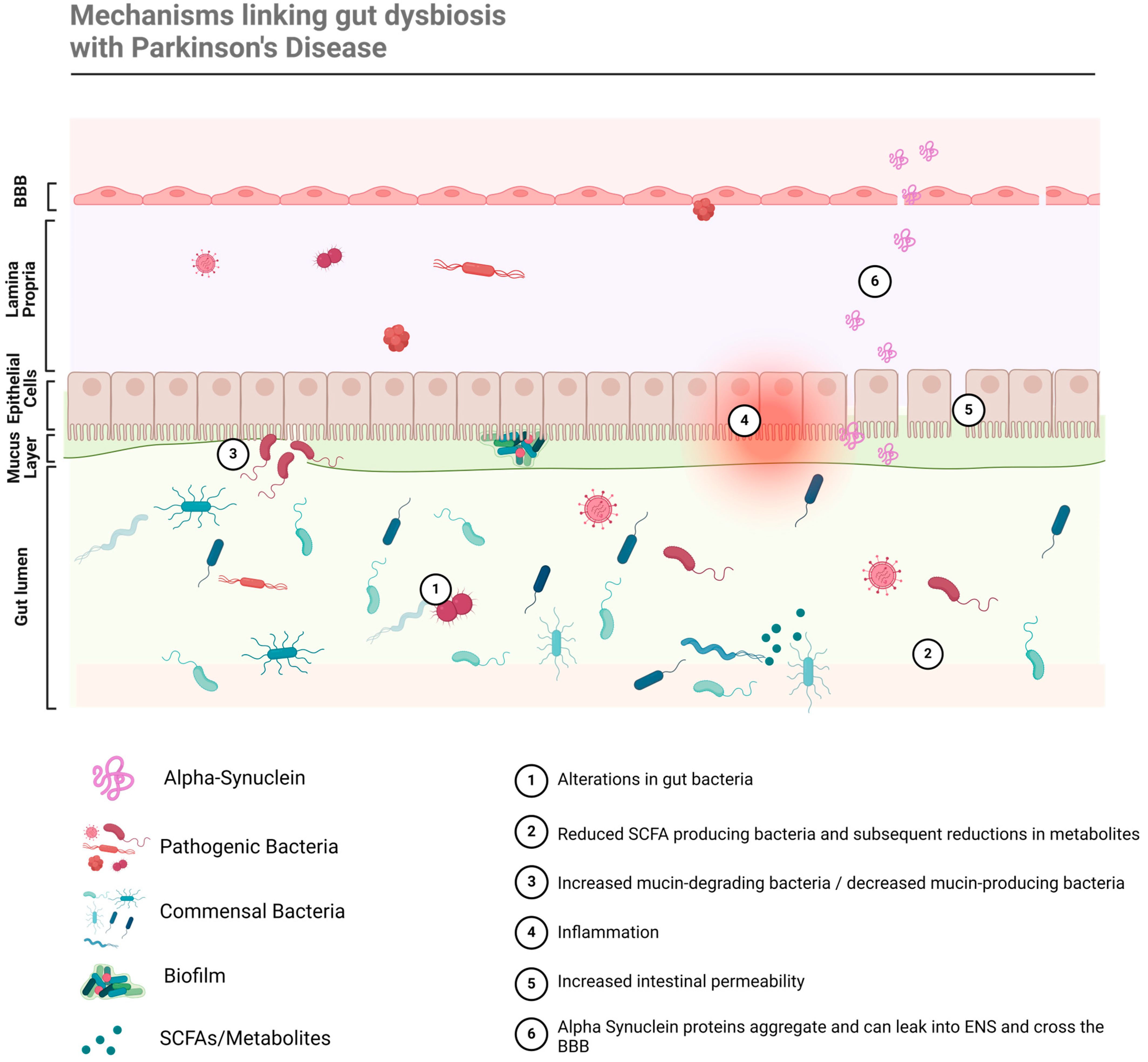 Biomedicines 12 01738 g002