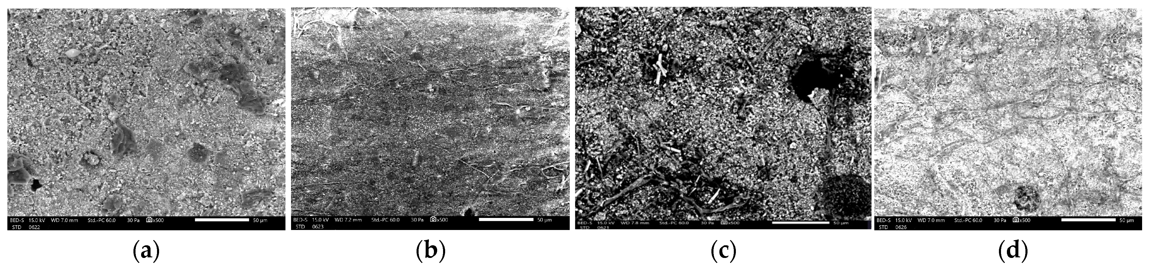 Biomedicines 12 01740 g002