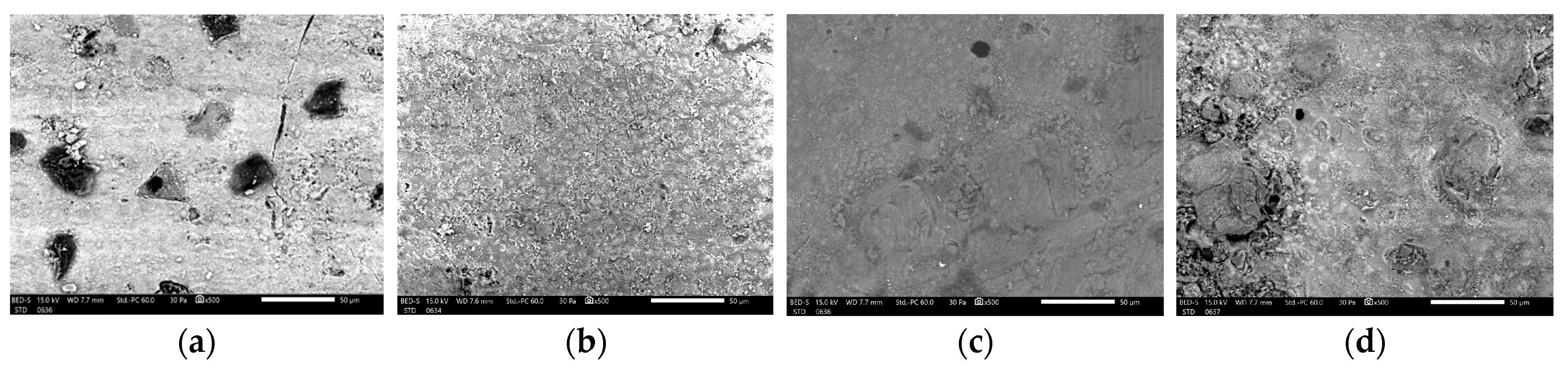 Biomedicines 12 01740 g003