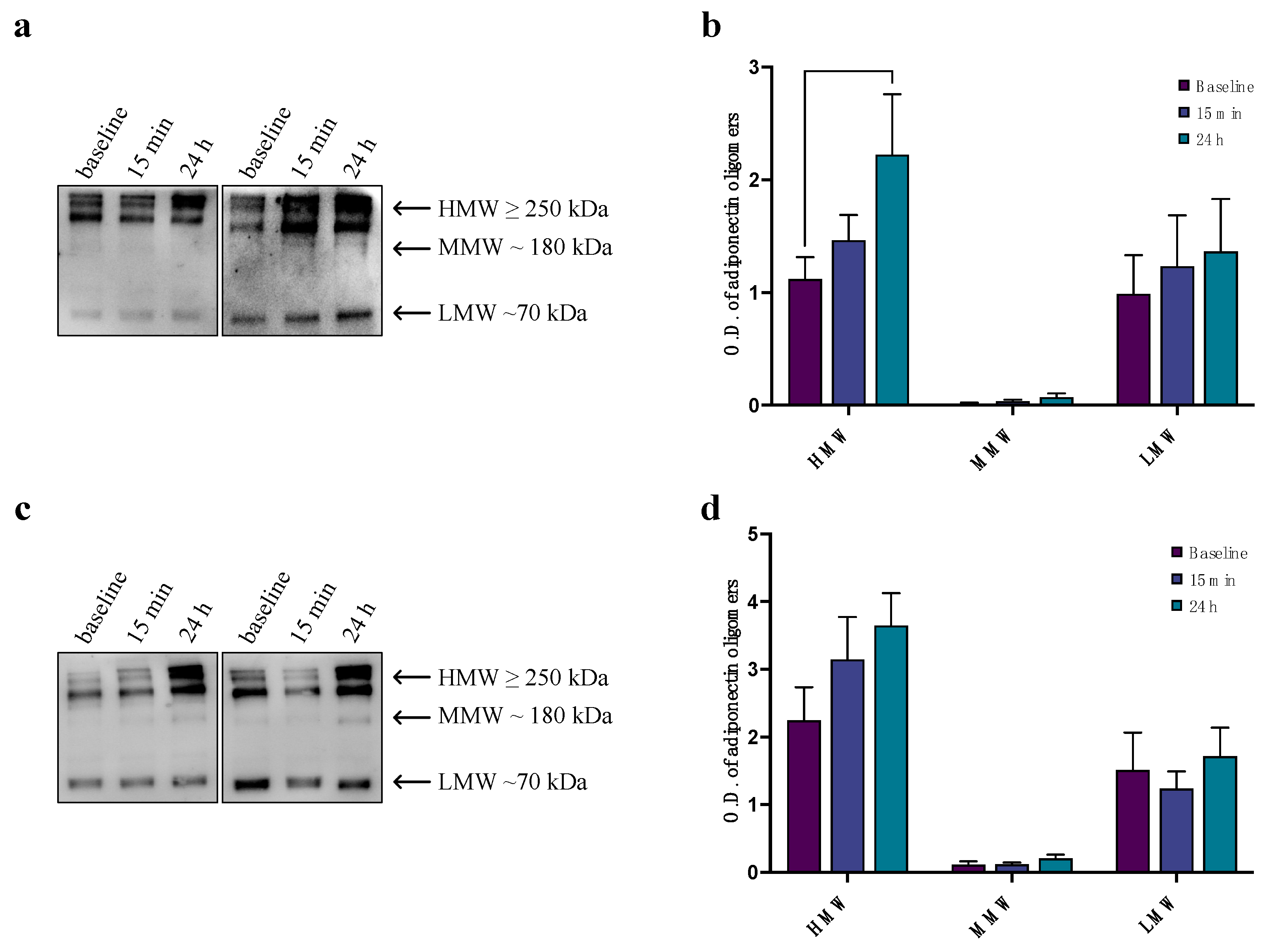 Biomedicines 12 01743 g003