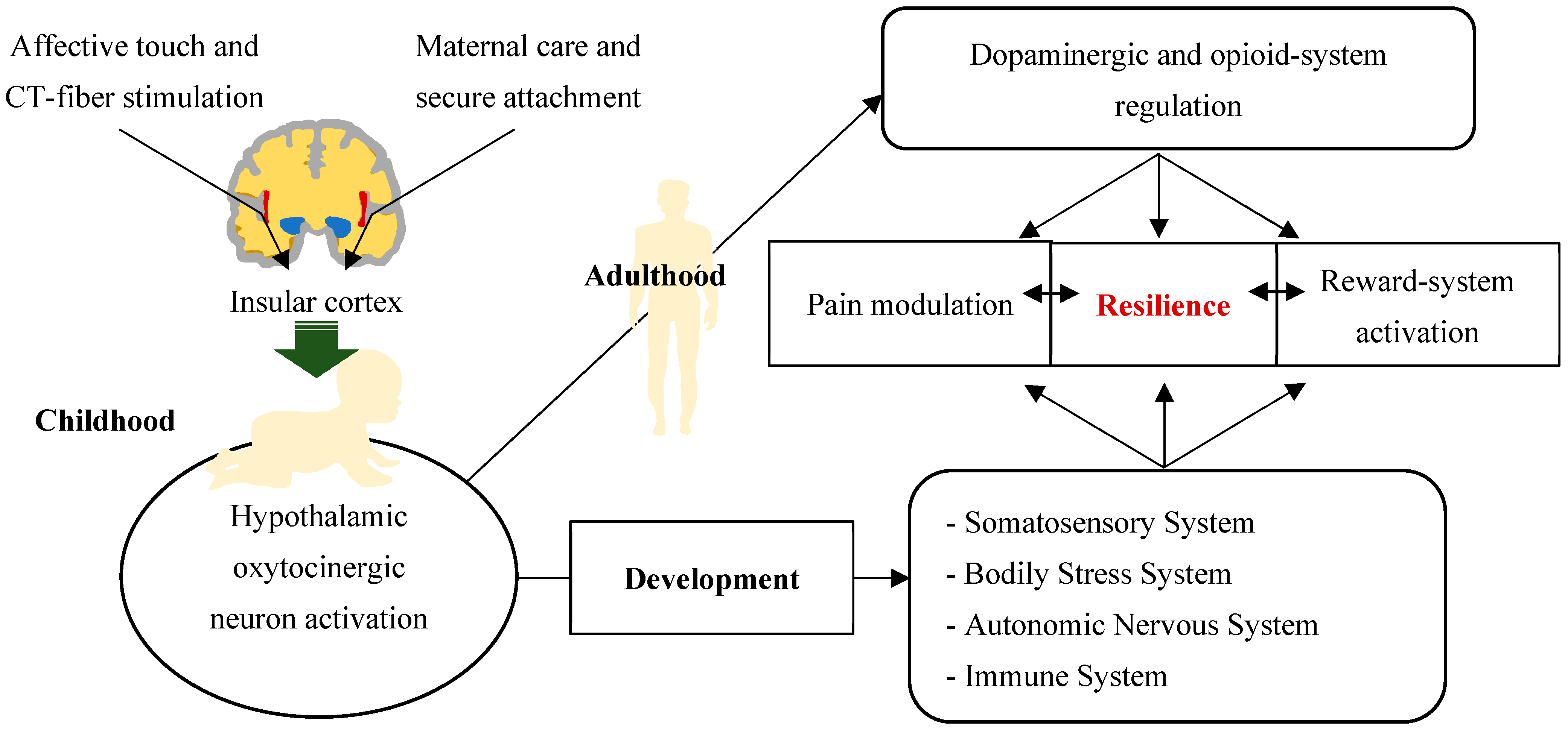 Biomedicines 12 01744 g003