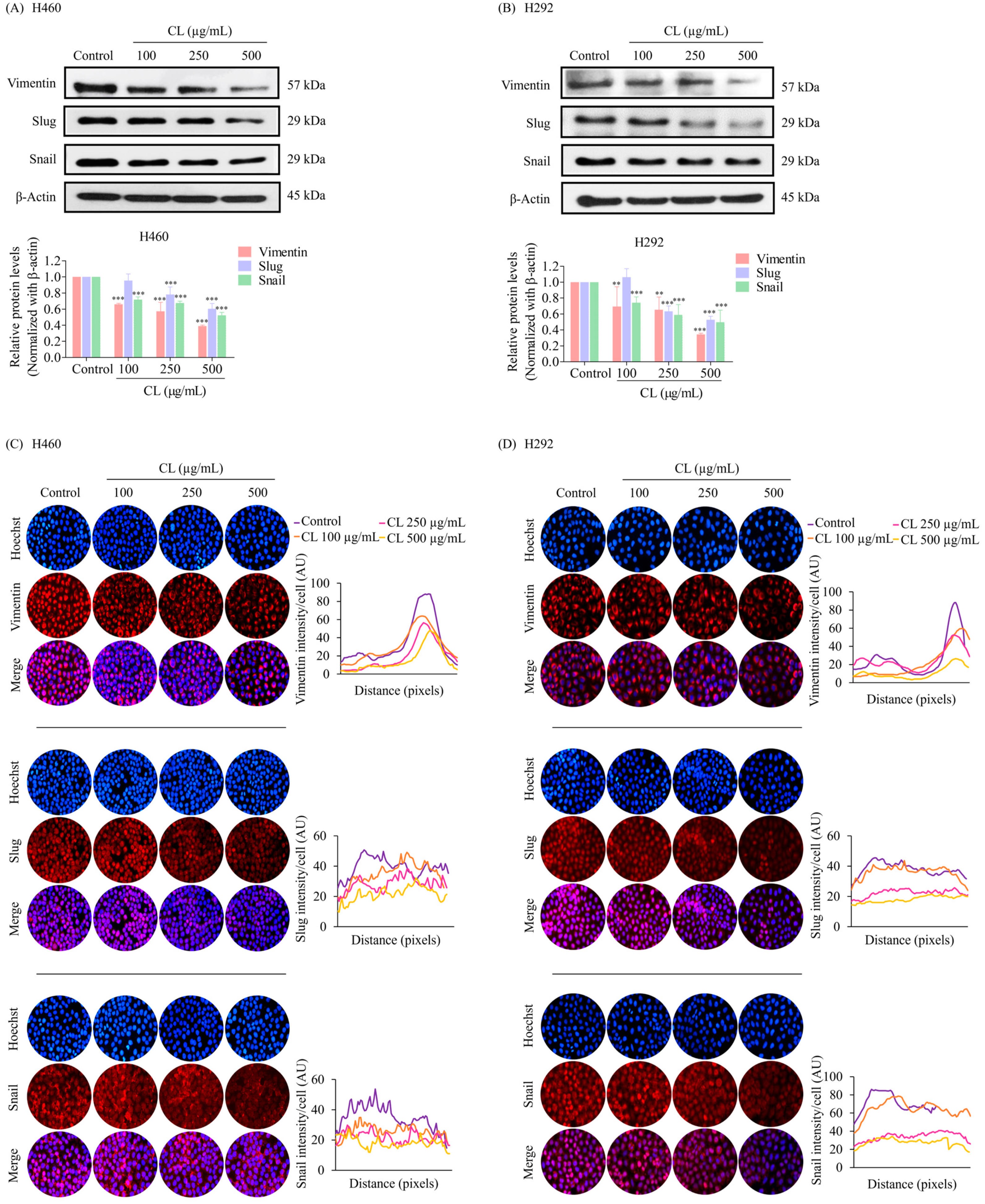 Biomedicines 12 01752 g004