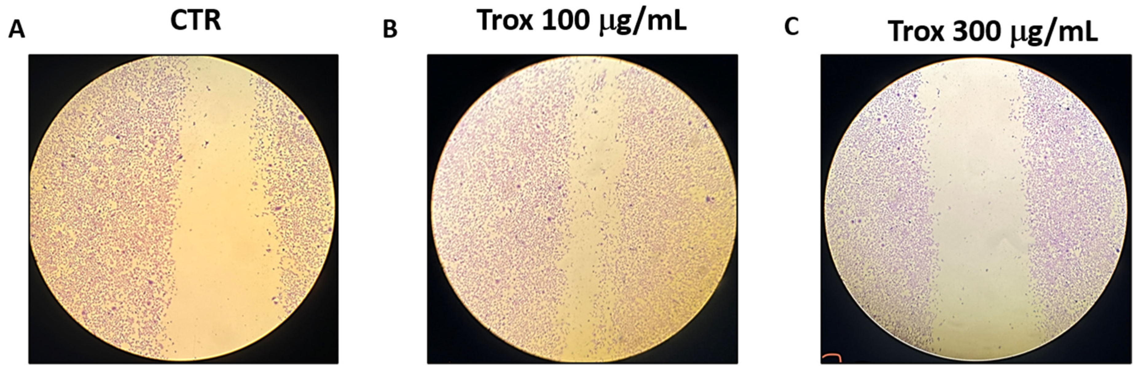 Biomedicines 12 01755 g002
