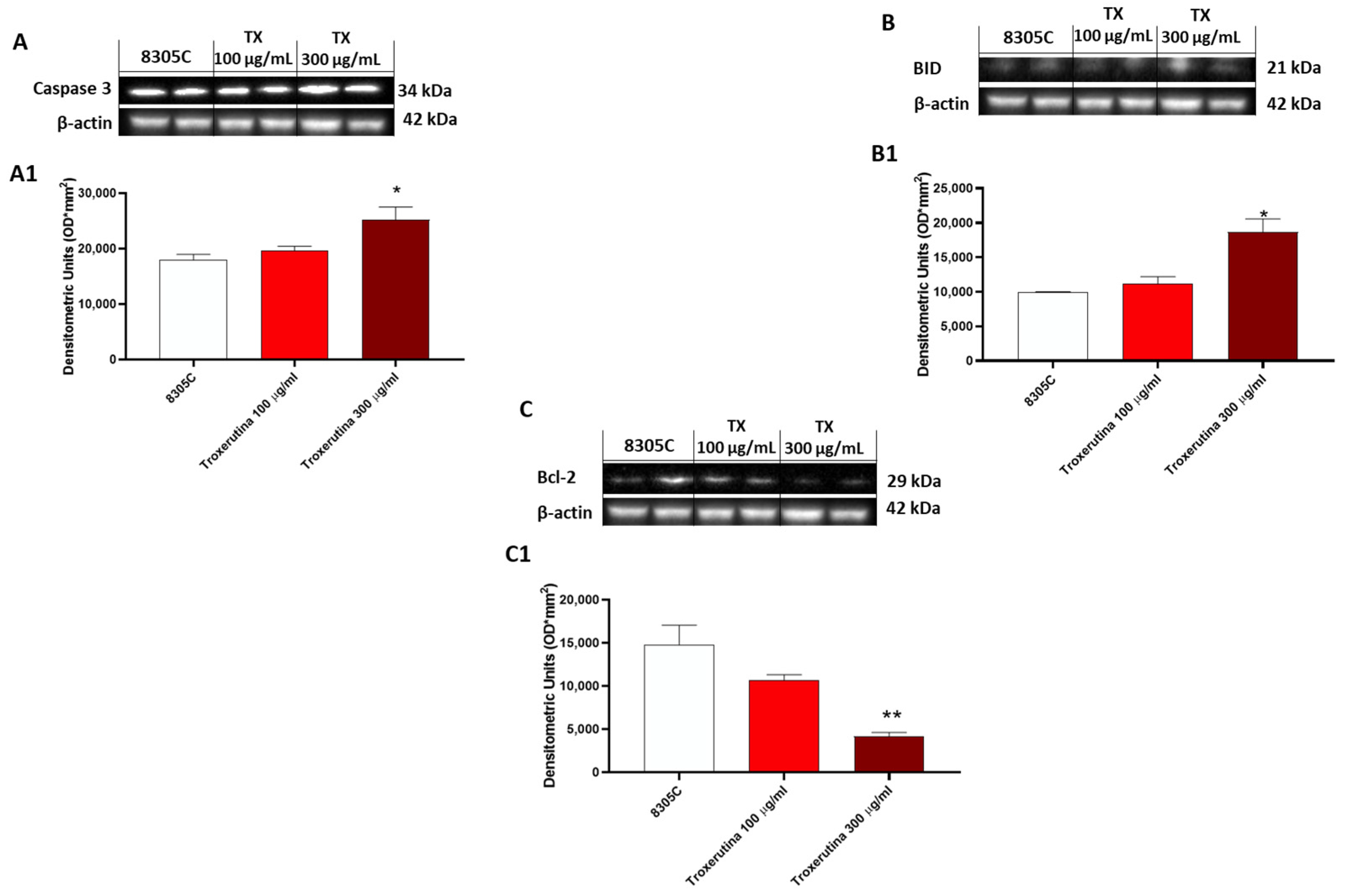 Biomedicines 12 01755 g005