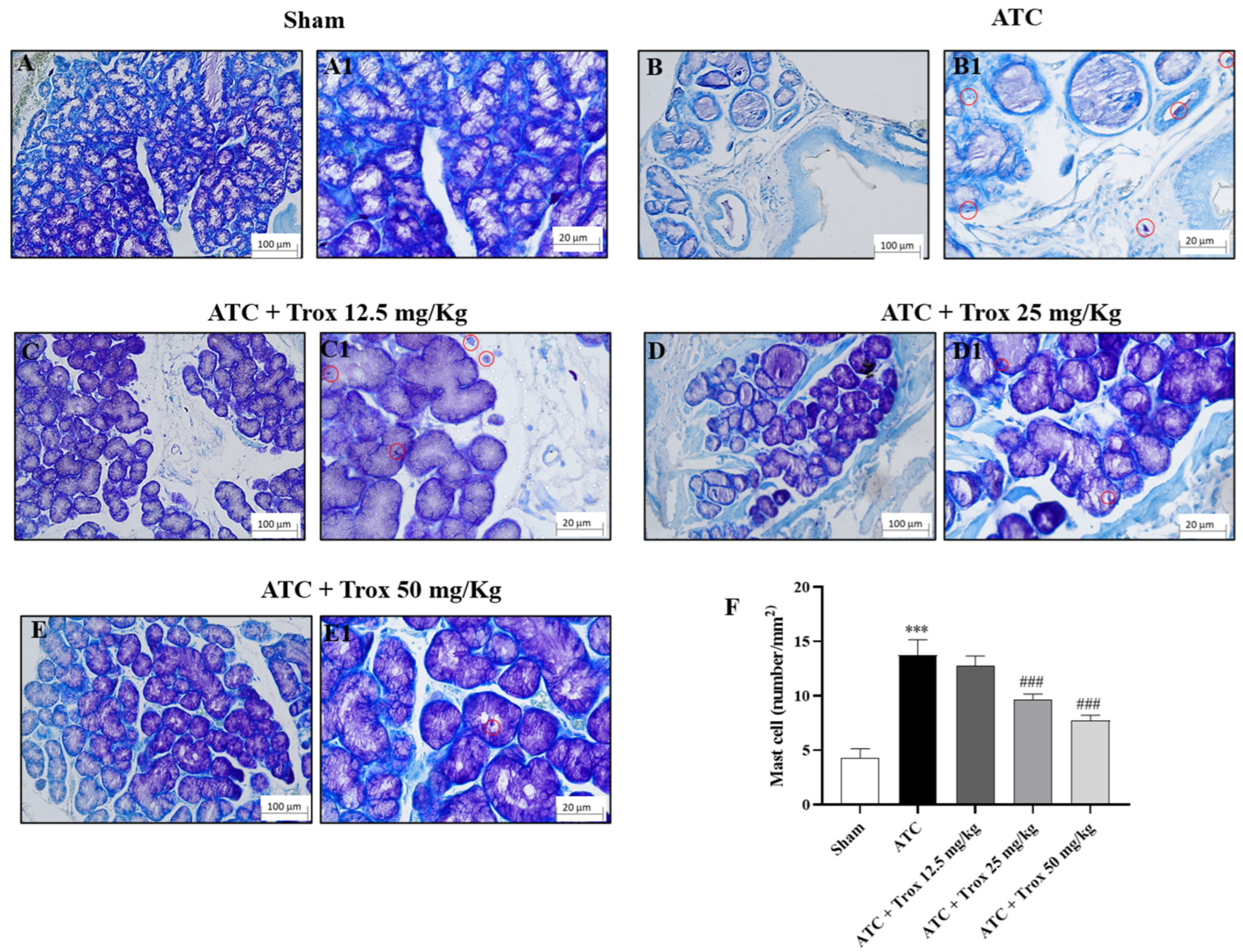 Biomedicines 12 01755 g008