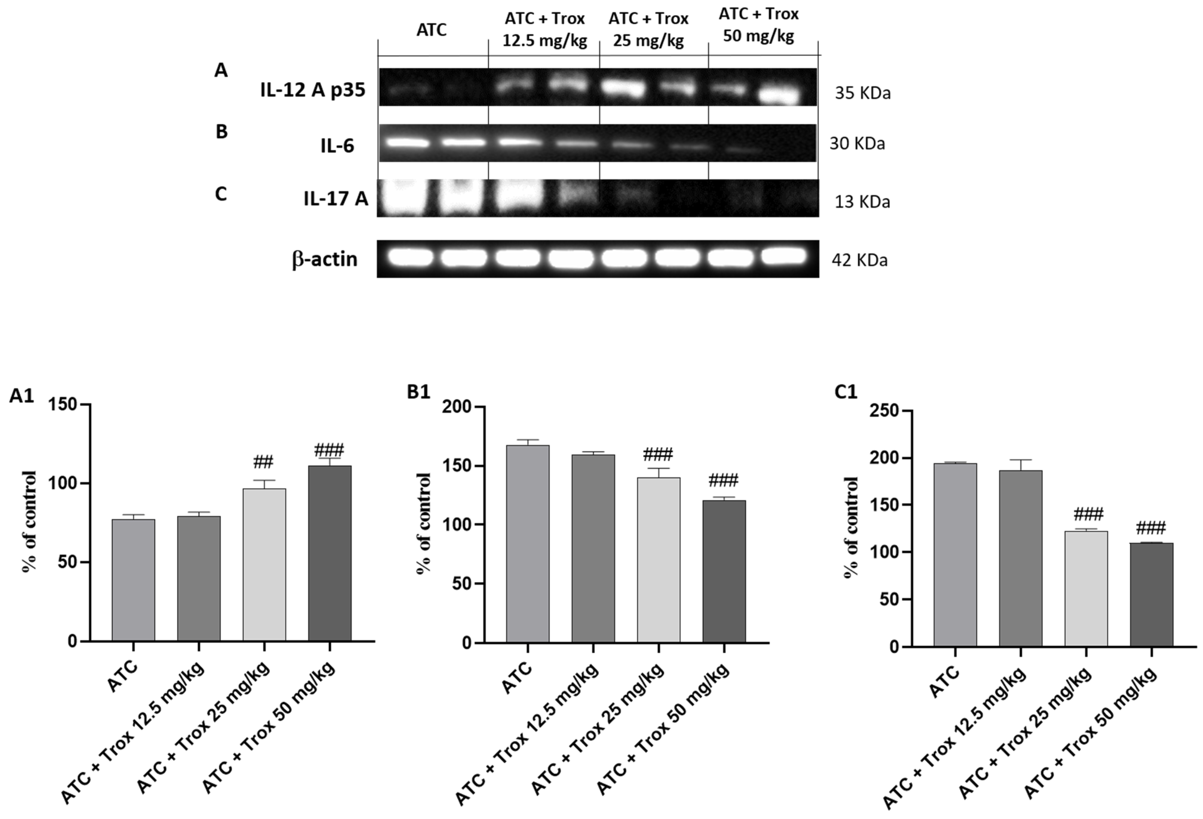 Biomedicines 12 01755 g010