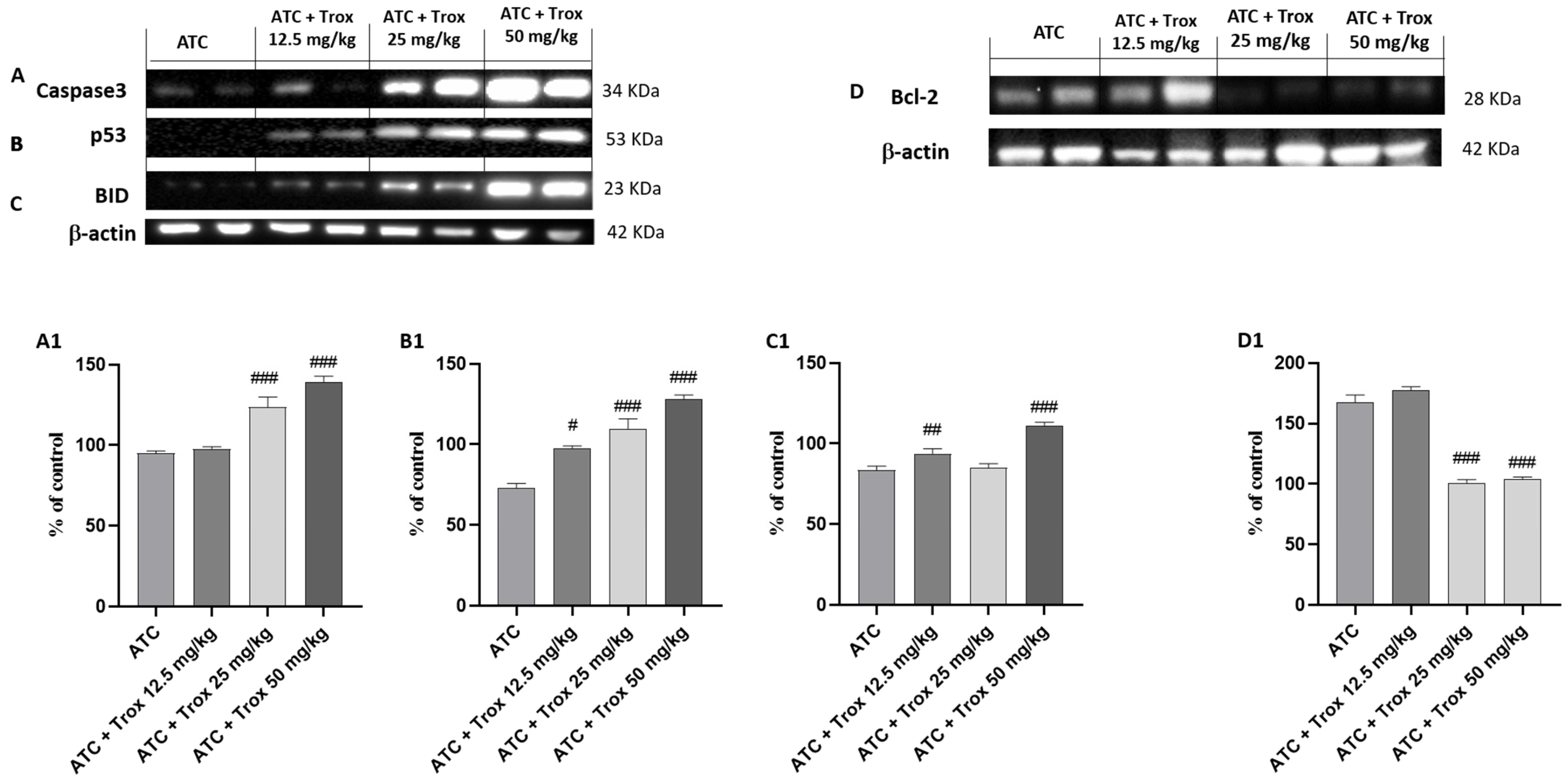 Biomedicines 12 01755 g011