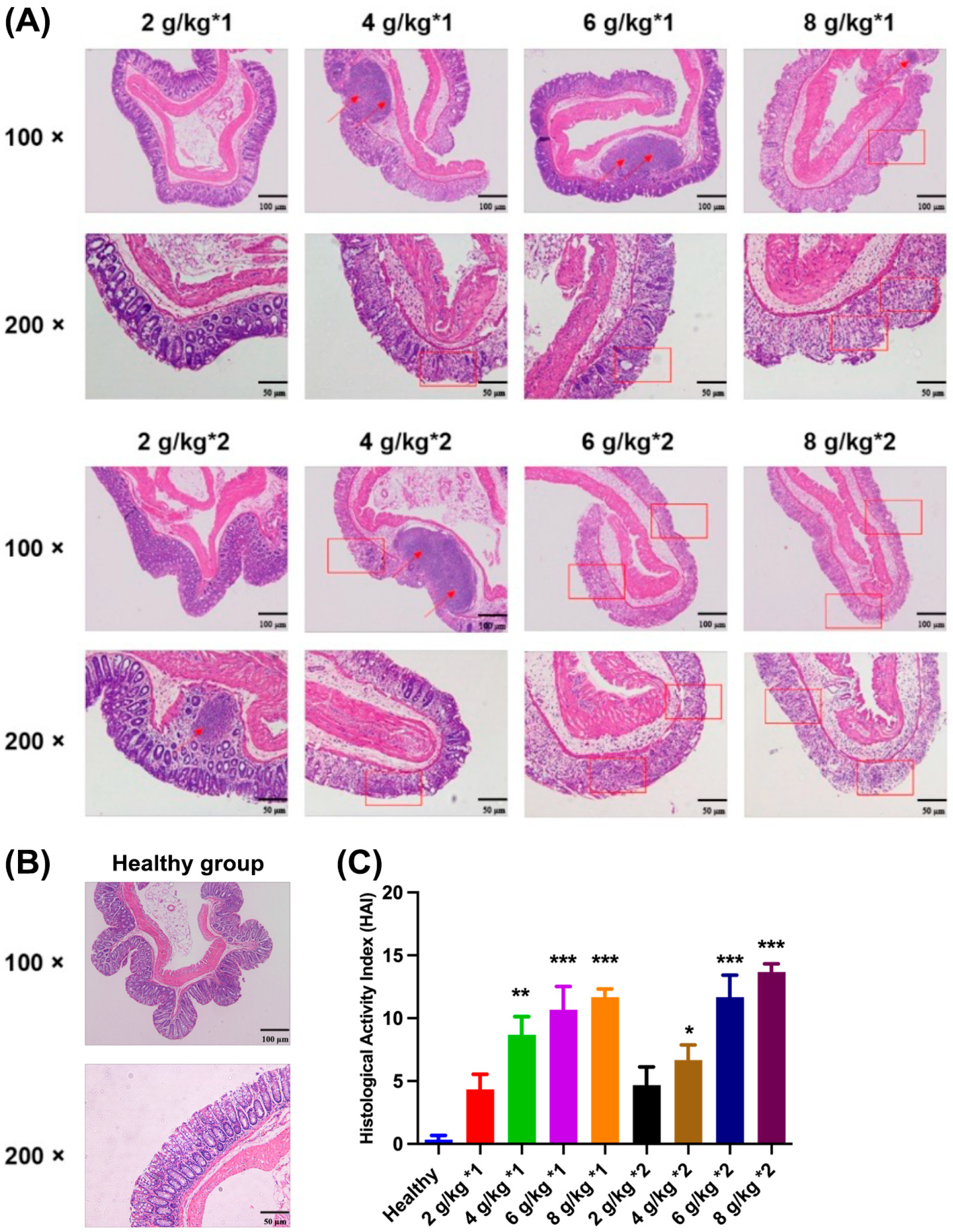 Biomedicines 12 01764 g003 Biomedicines 12 01764 g003