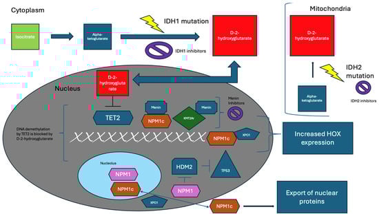 Biomedicines 12 01768 g001