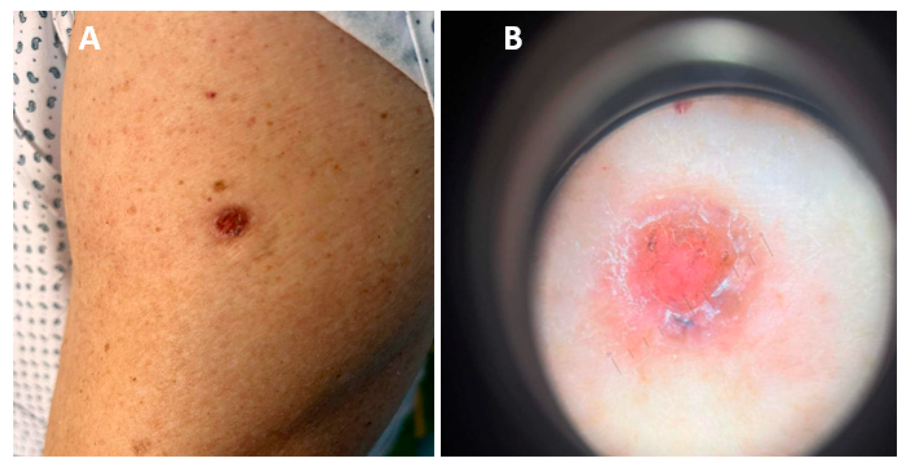 Biomedicines 12 01769 g002