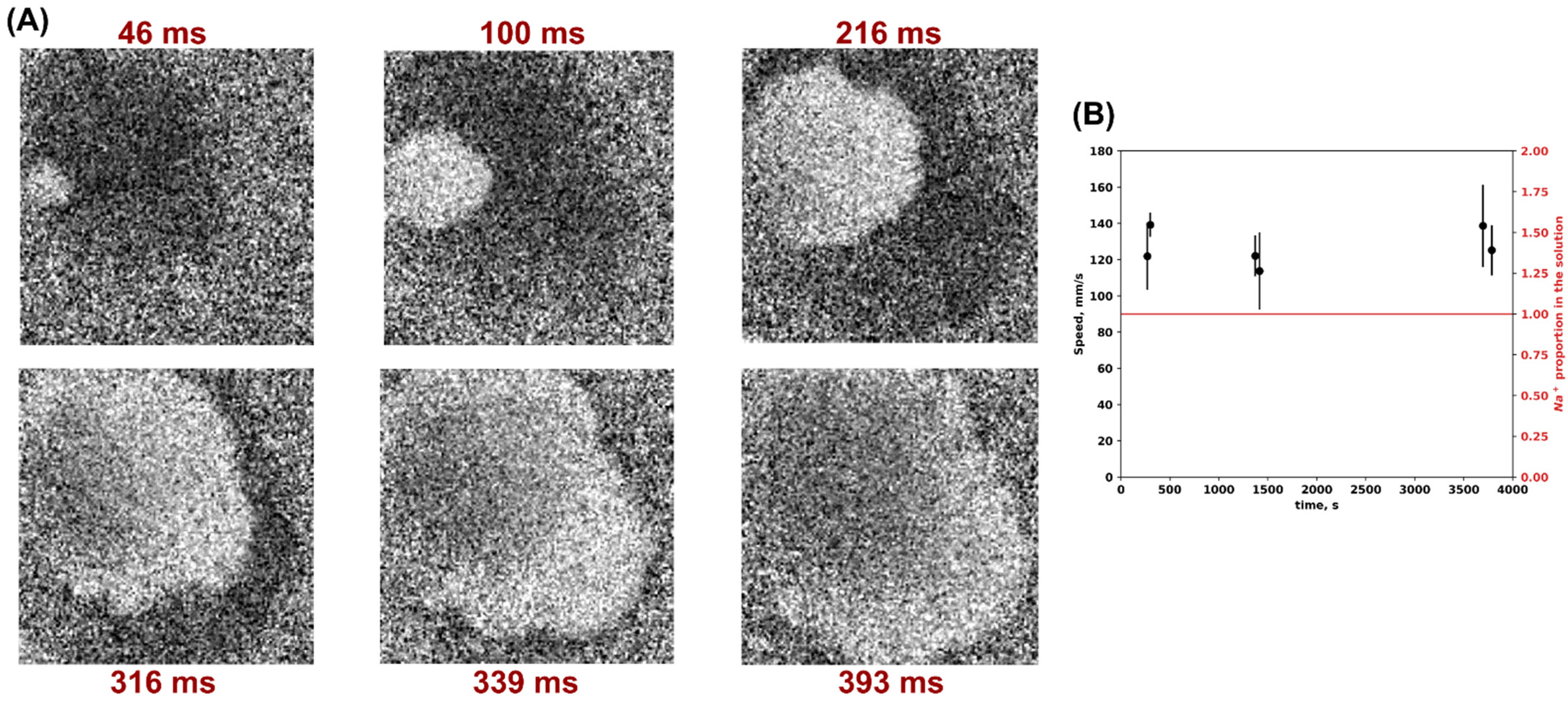 Biomedicines 12 01770 g001