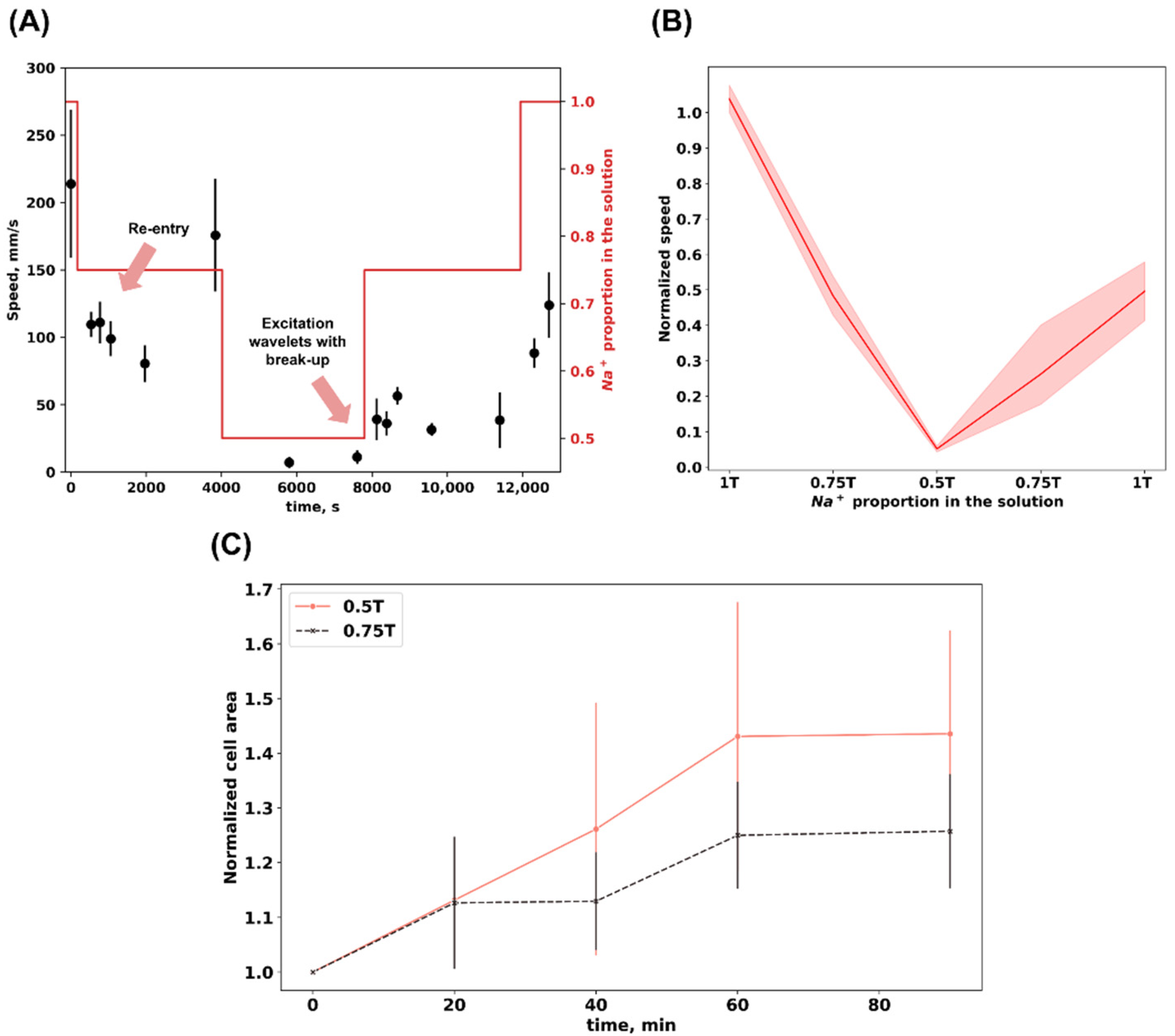 Biomedicines 12 01770 g002