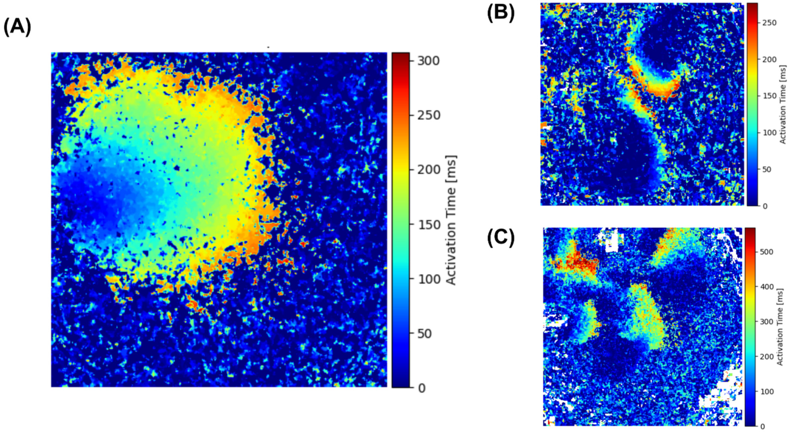 Biomedicines 12 01770 g003