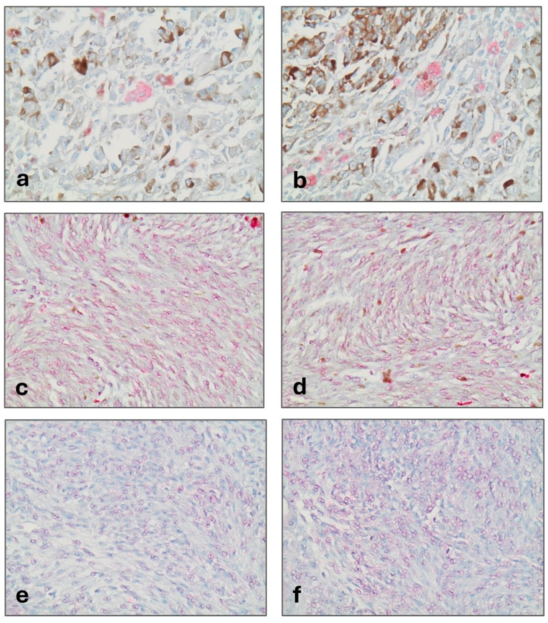 Biomedicines 12 01772 g001