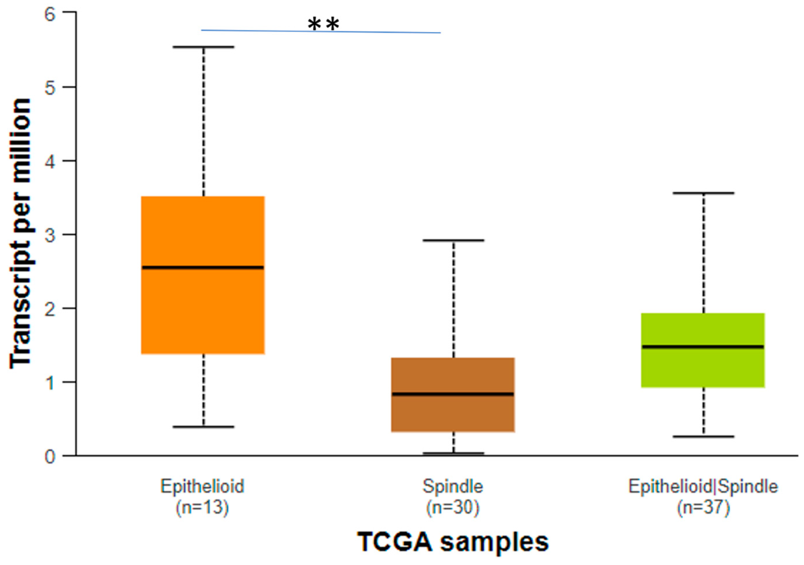 Biomedicines 12 01772 g010