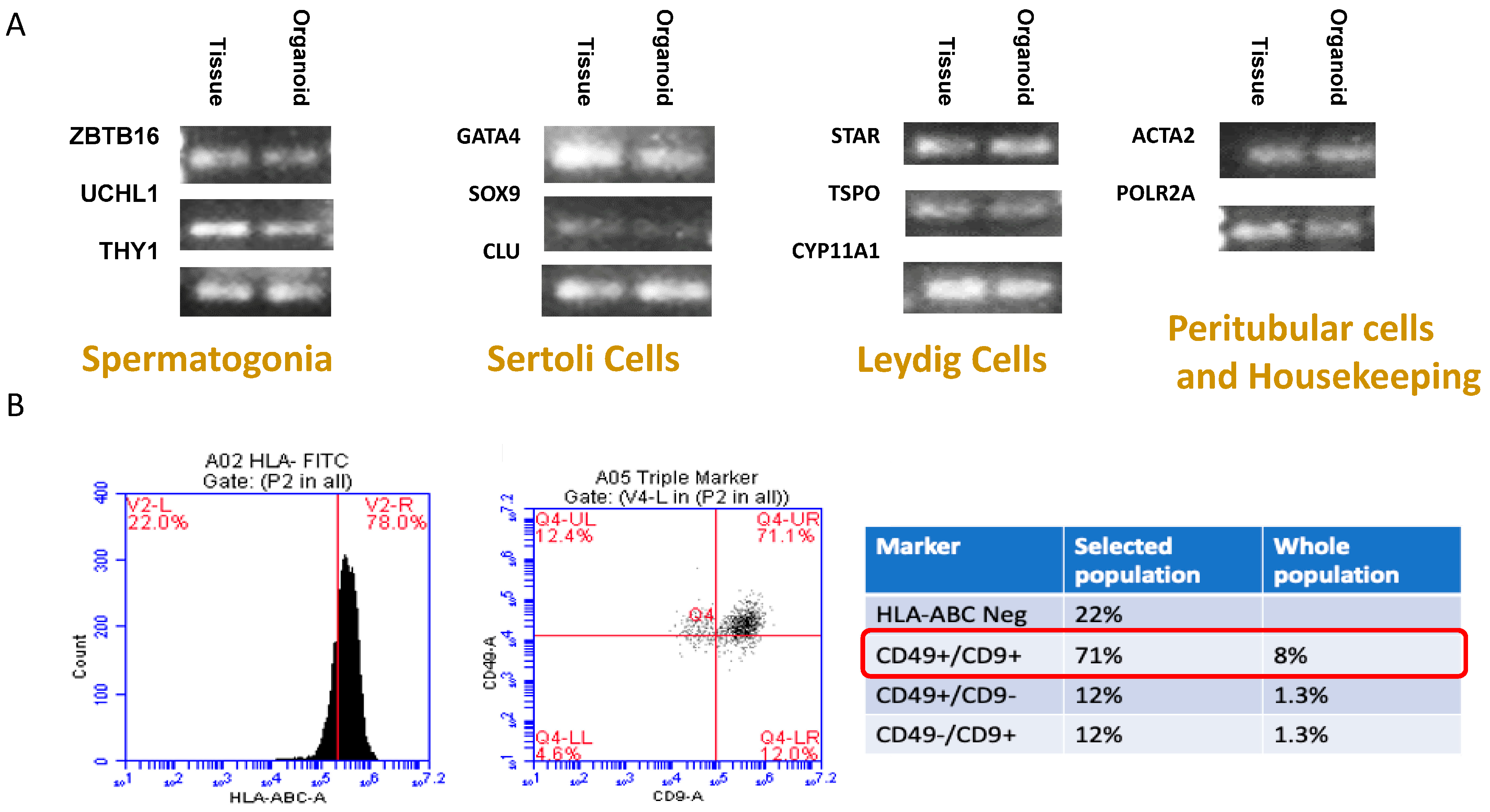 Biomedicines 12 01774 g004