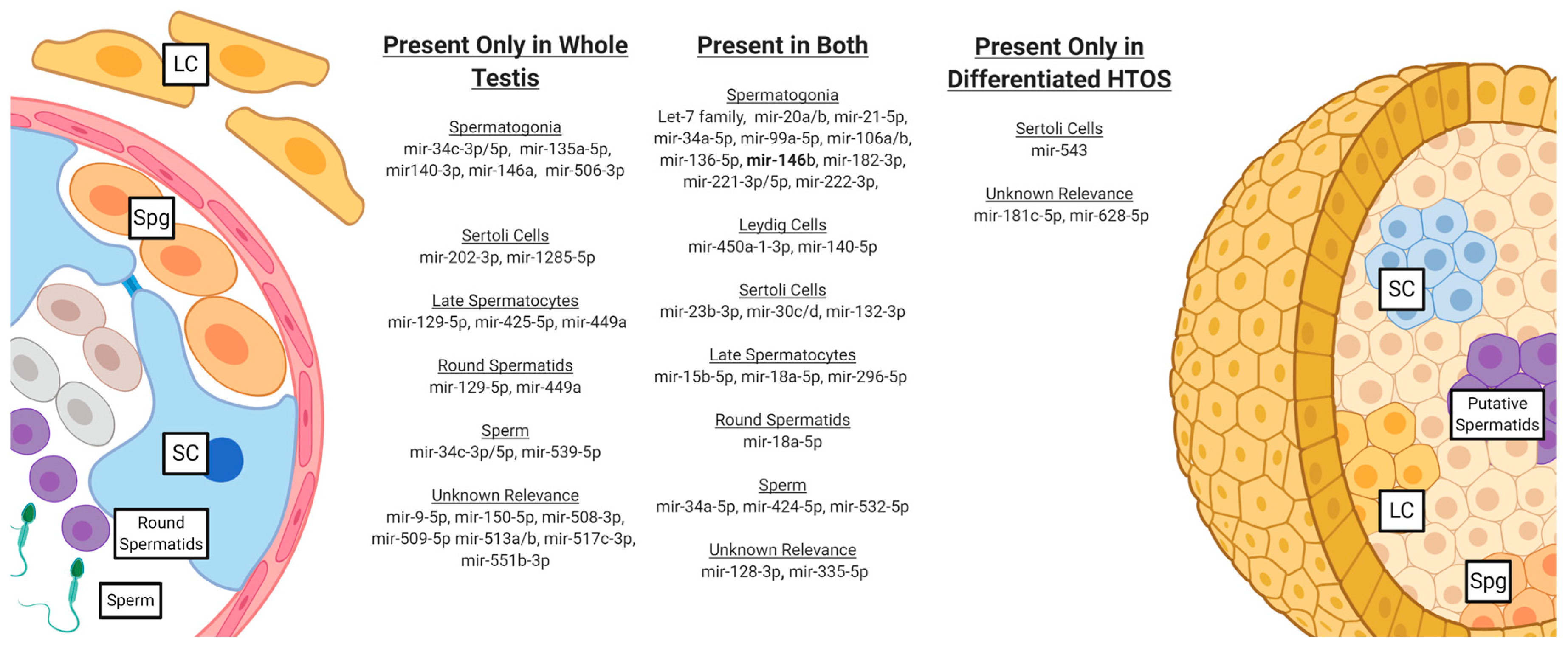 Biomedicines 12 01774 g006